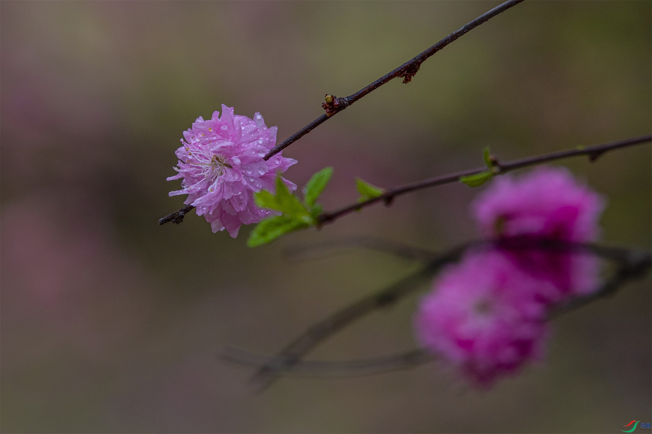 CY4A8496 ����1.jpg