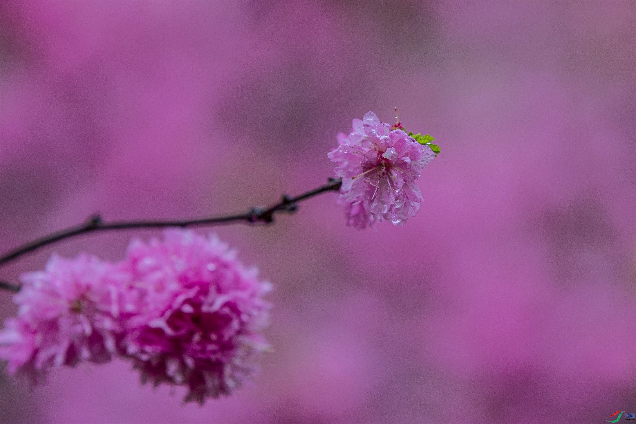 CY4A8488 ����1.jpg