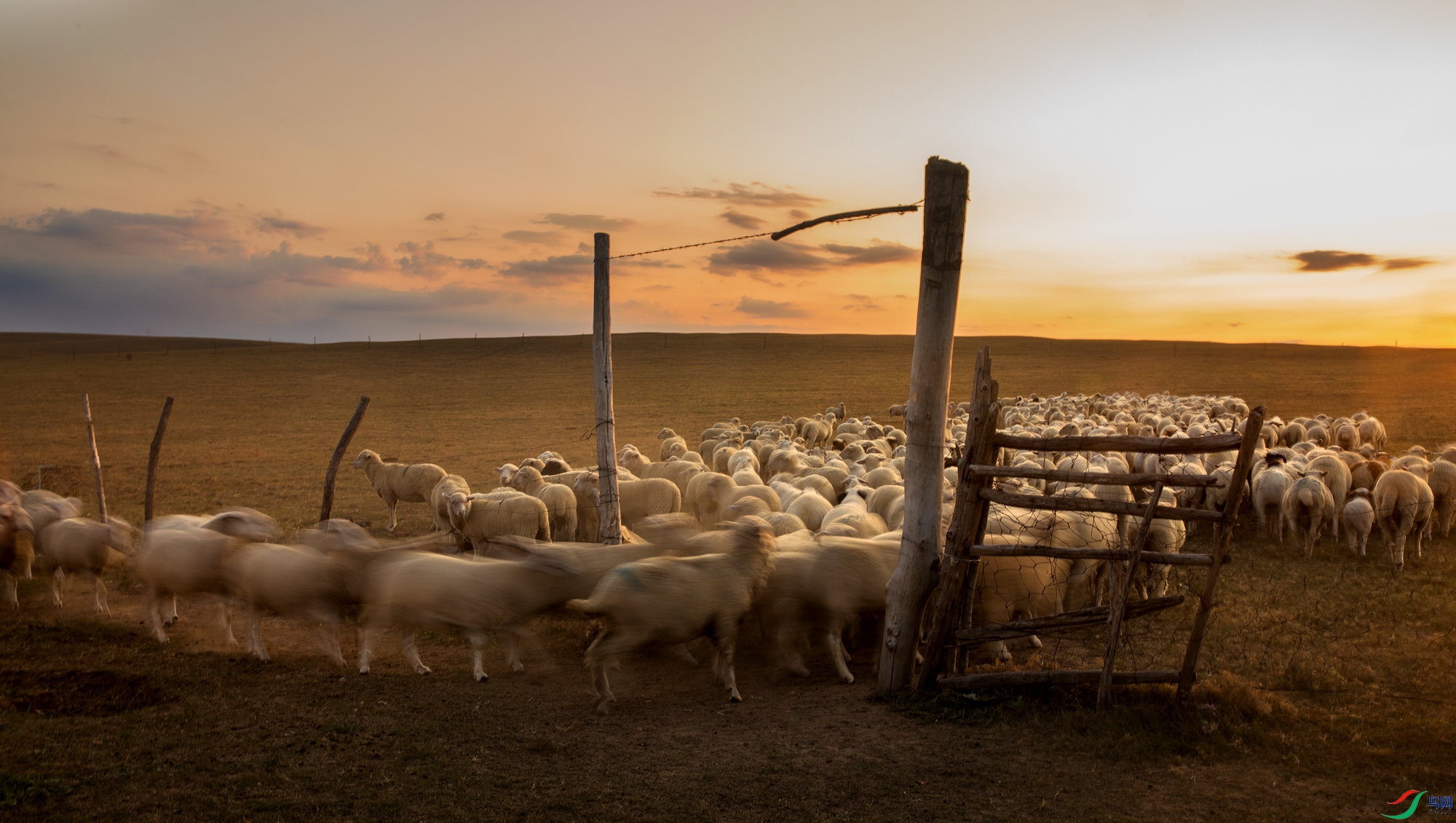 106A6000 ����.jpg