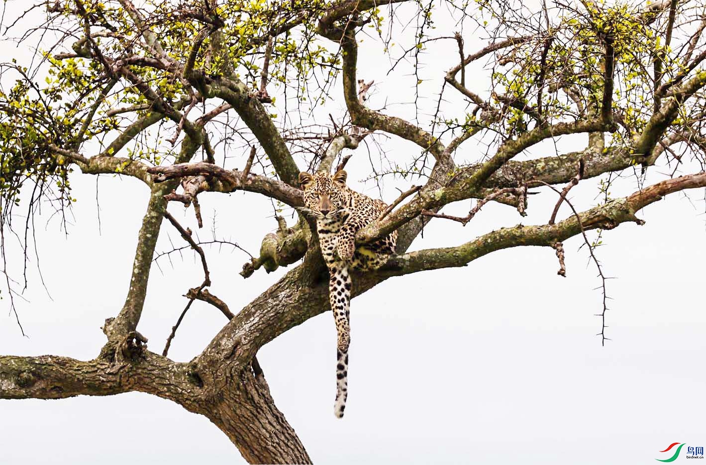 ���������� ����.jpg