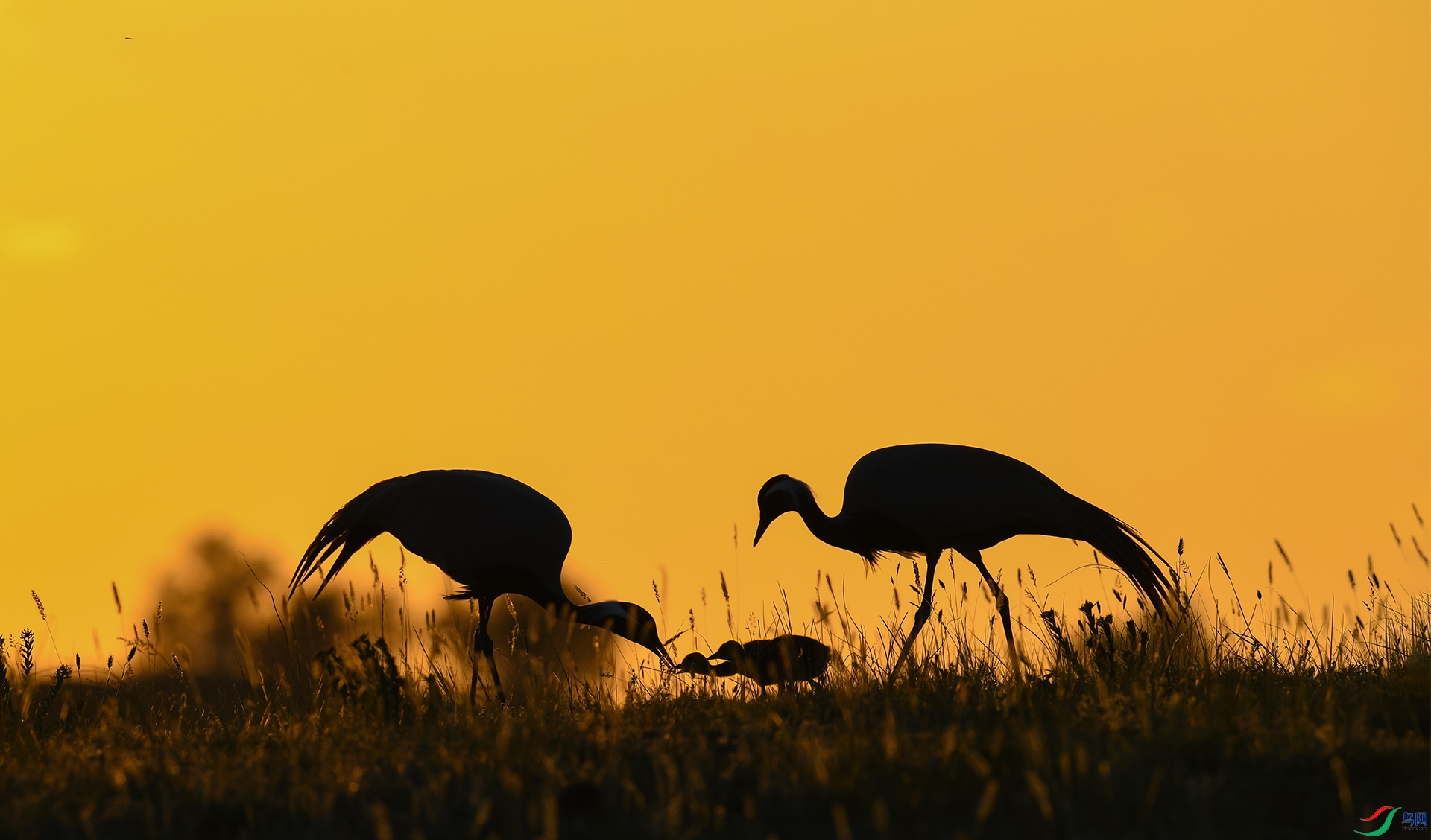 XQD_0198 ����.jpg