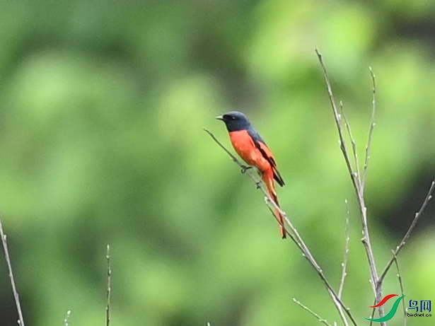 DSC_5128.JPG