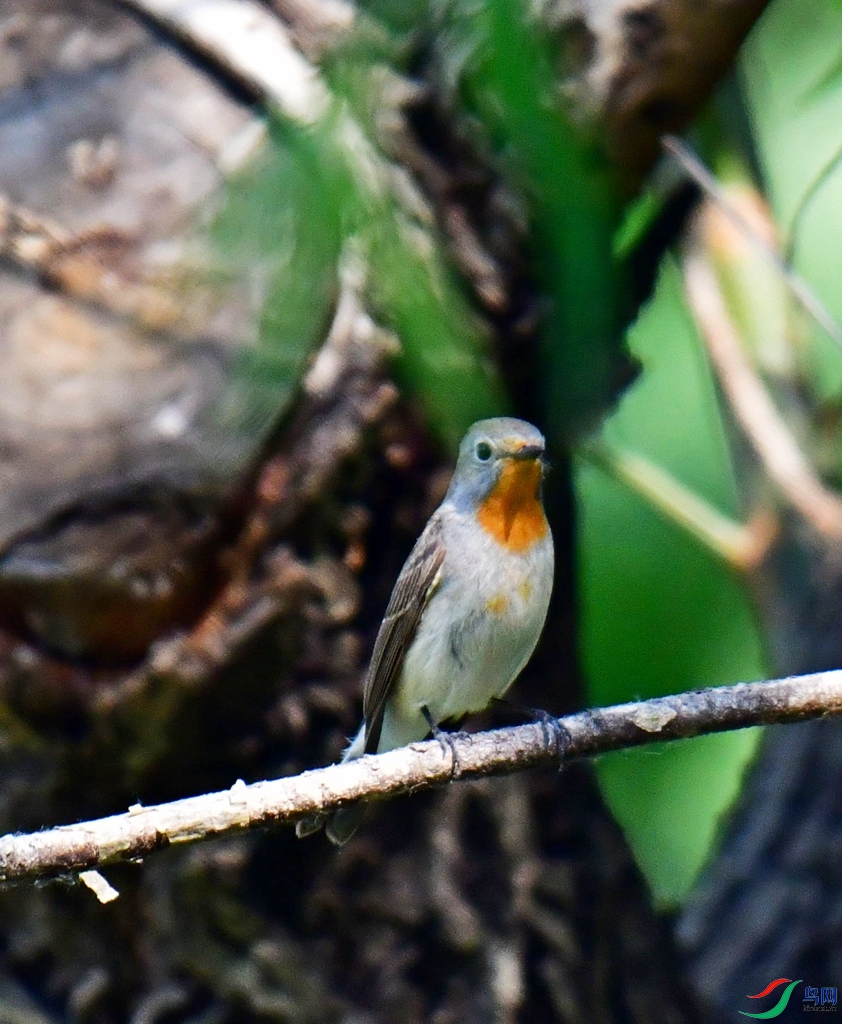 DSC_6875.jpg