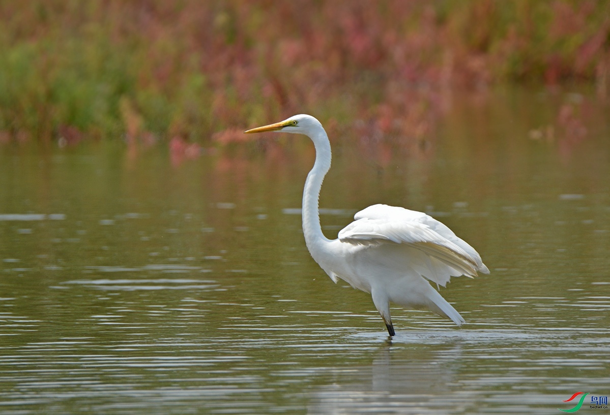 DSC_0474.jpg