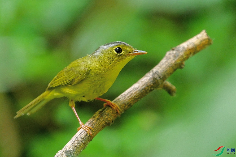 P9680451 - ���� (2).JPG