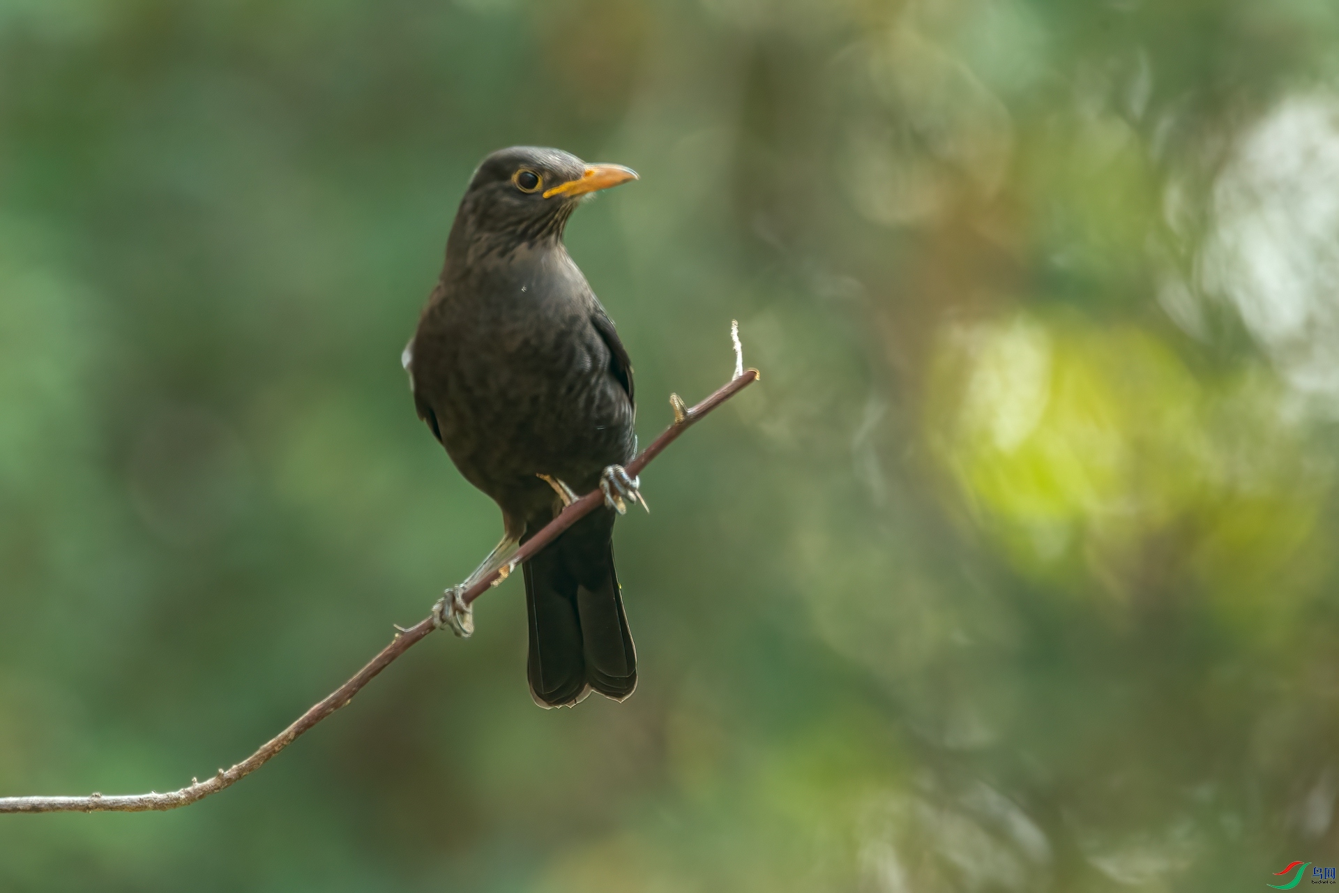 B86I2056 _����.jpg