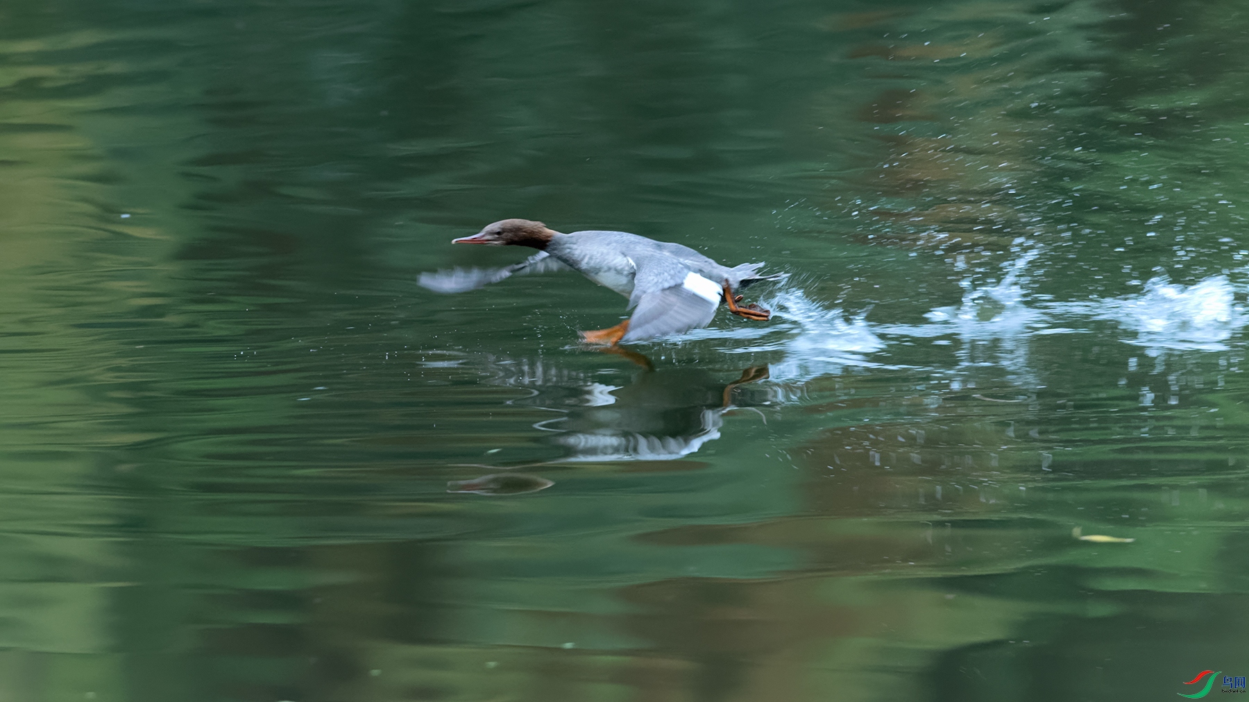 3DSC_2936_DxOa.jpg