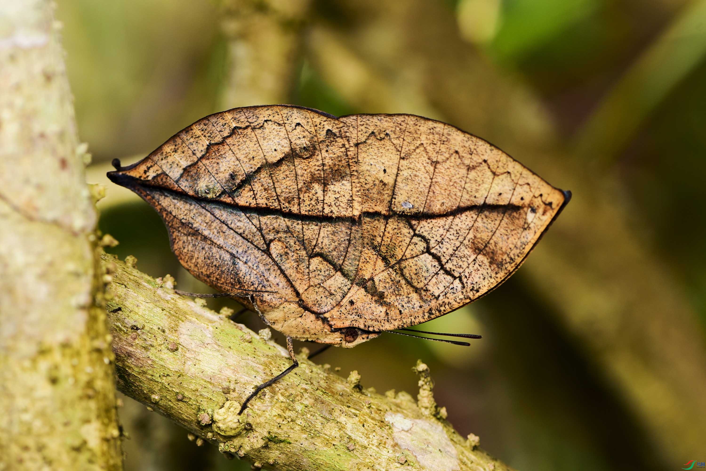 DSC_4055.jpg