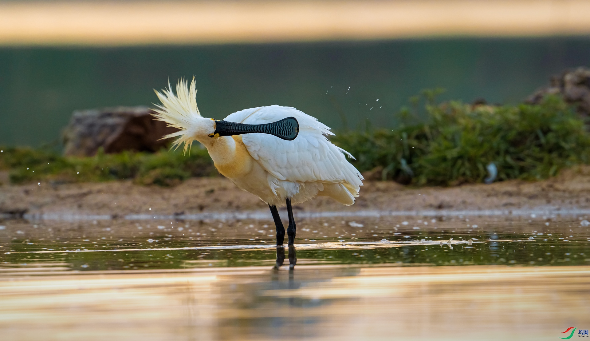DSC_6714==1w.jpg