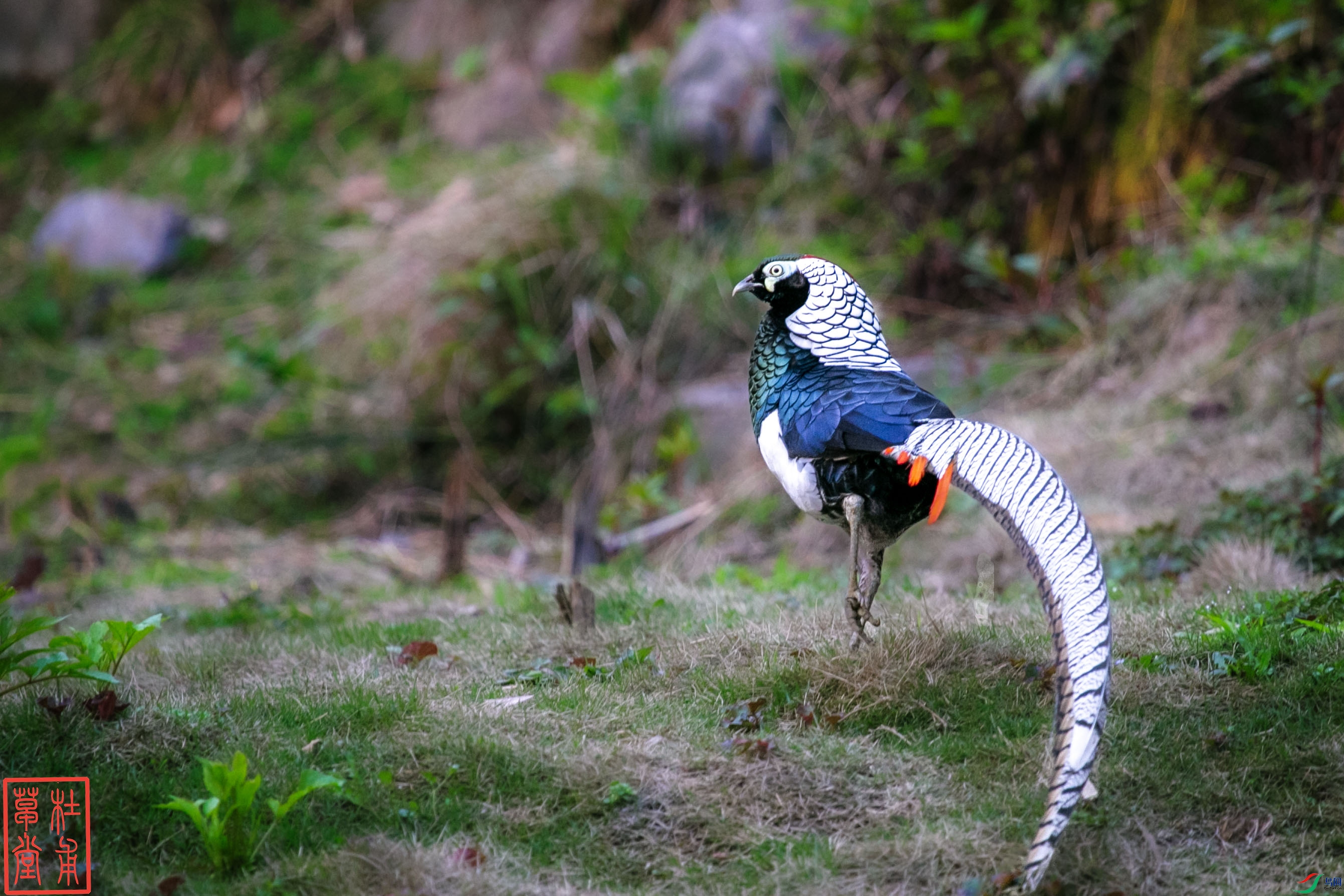 _D4Z1405 ����.jpg