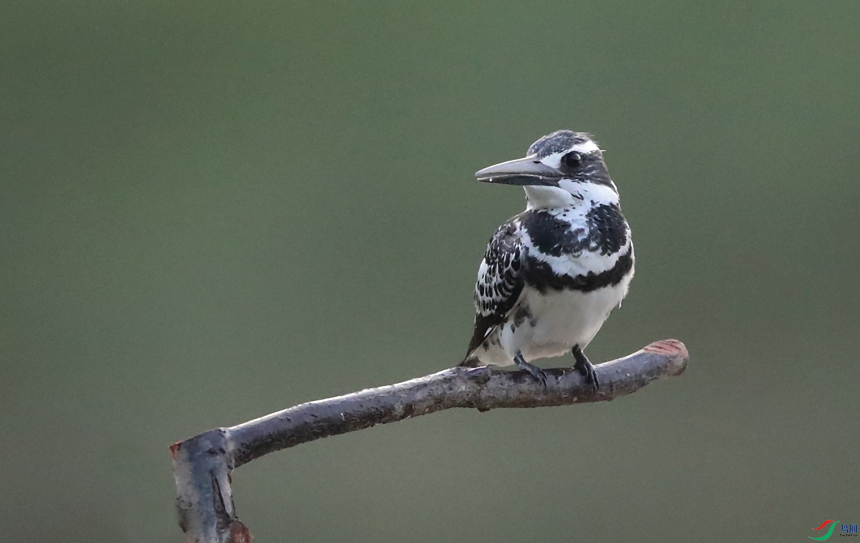 AB8I0001.JPG