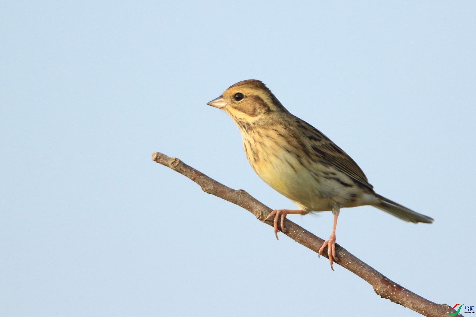 ��ͷ�c�� 0F4A9344.jpg