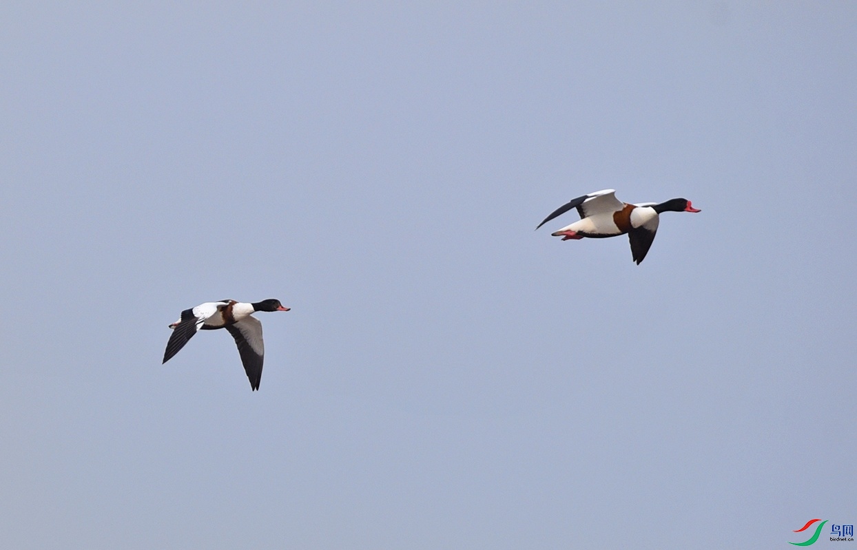 DSC_8722 df2׷��.jpg