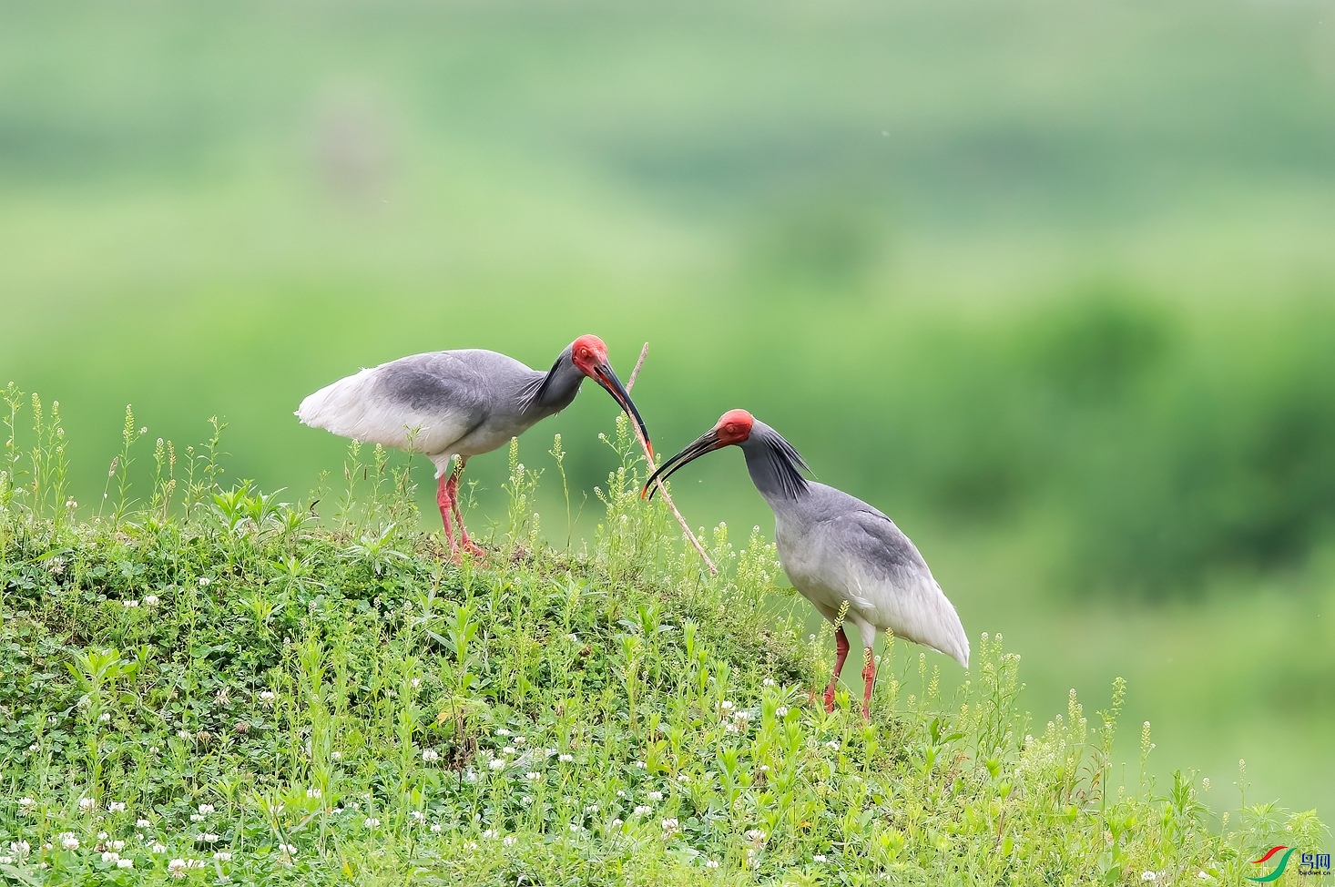 DSC_9152 ����_����.jpg