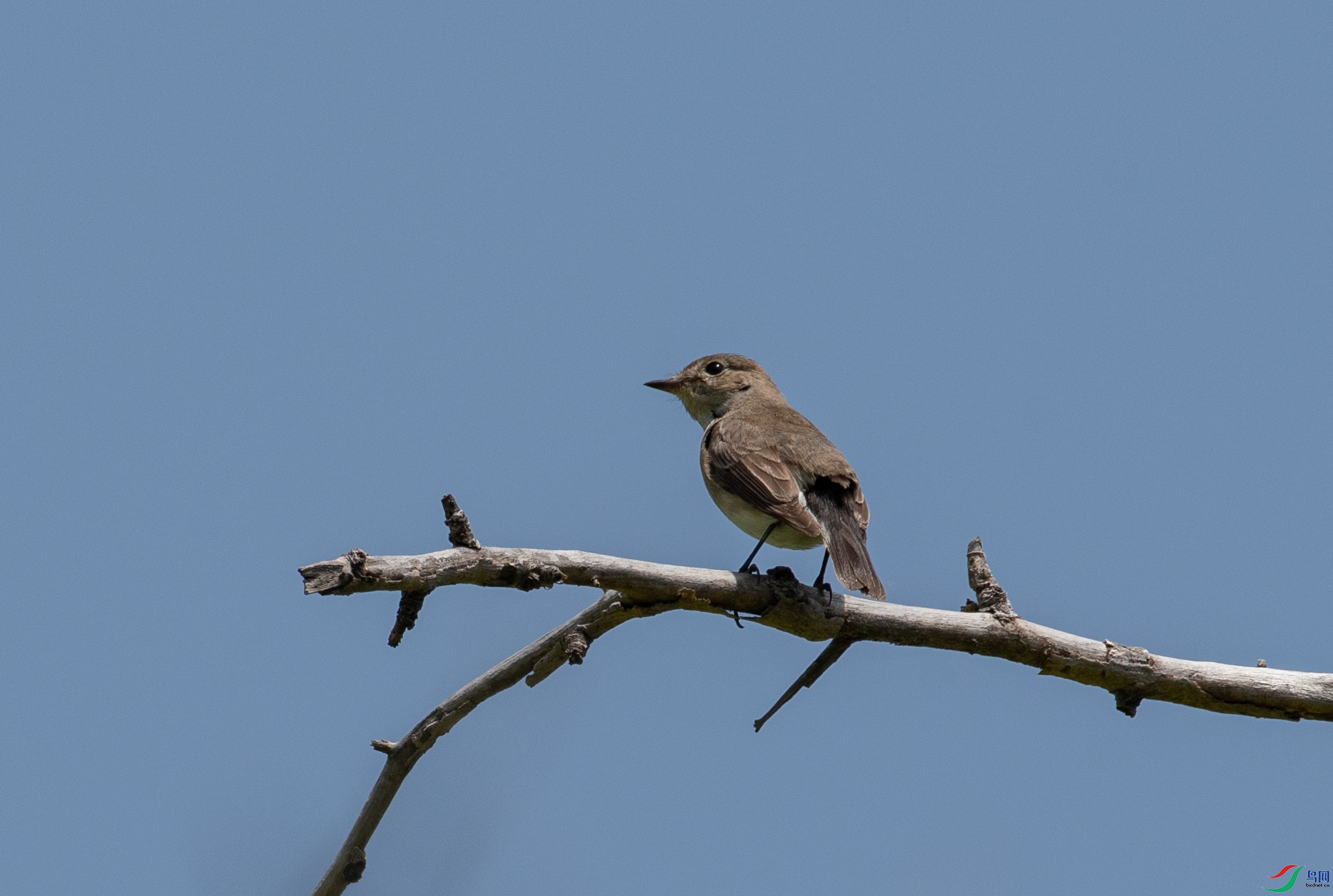 DSC_1095.jpg
