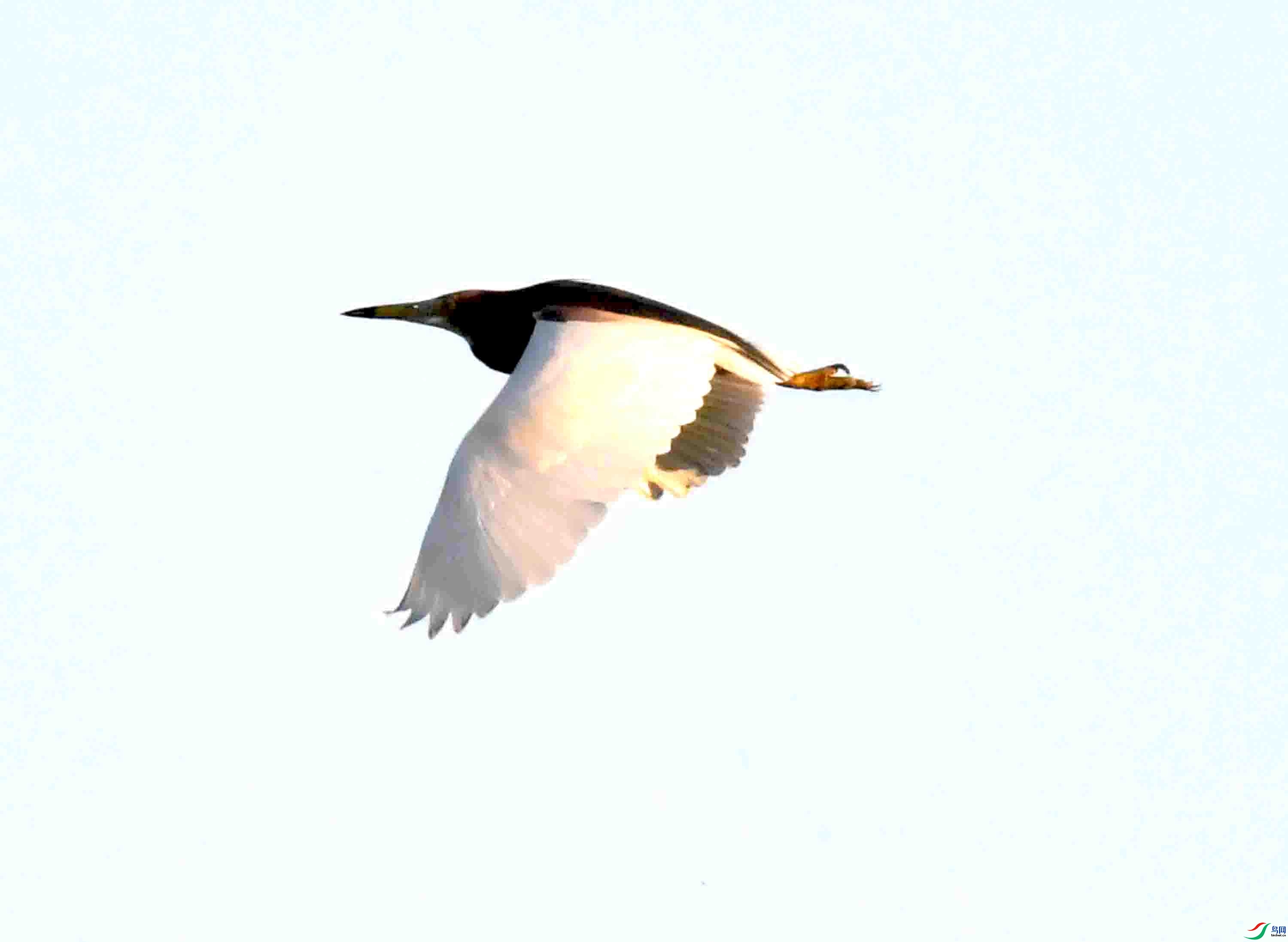 Copy2_DSC_3058.JPG