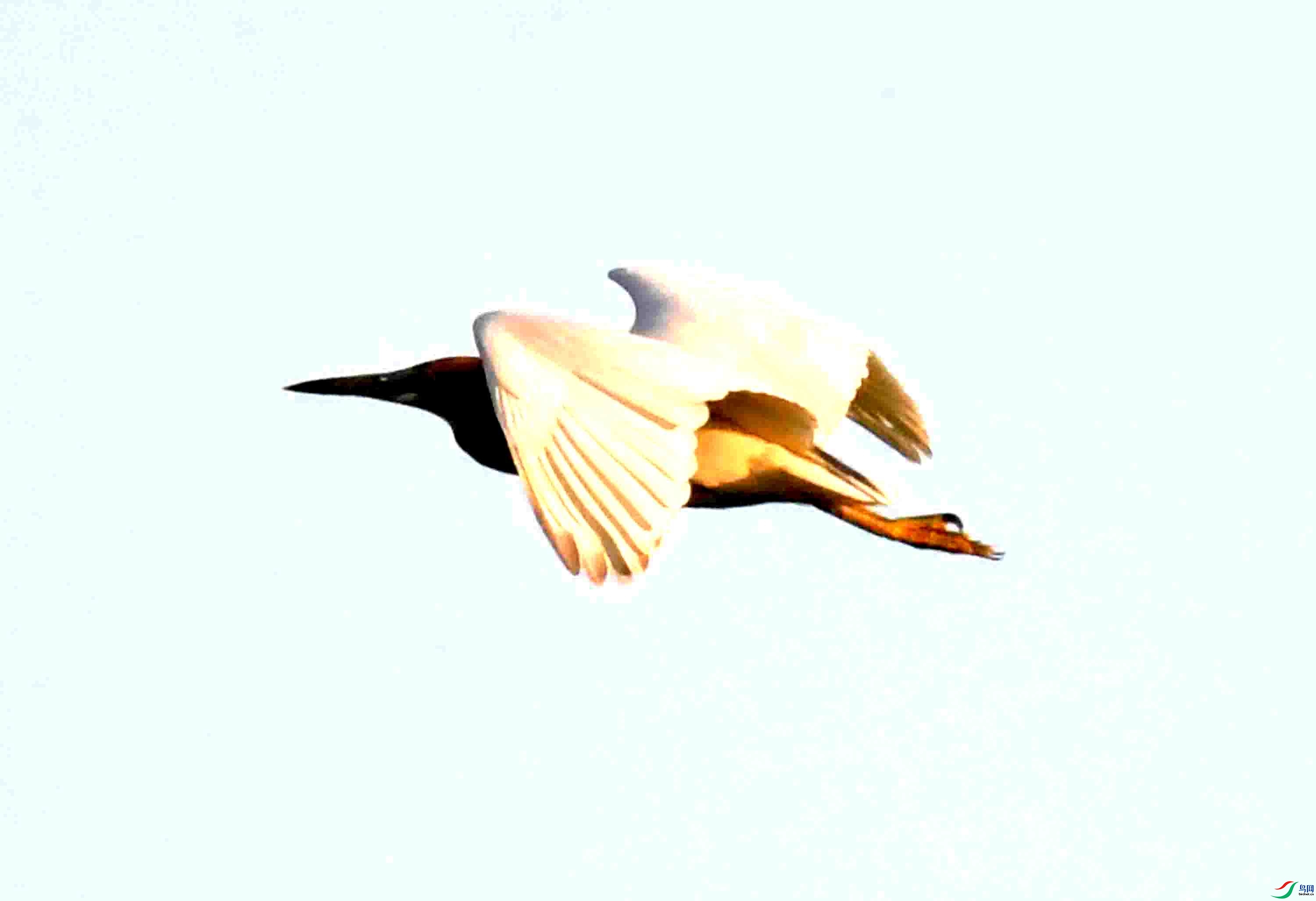 Copy2_DSC_3059.JPG