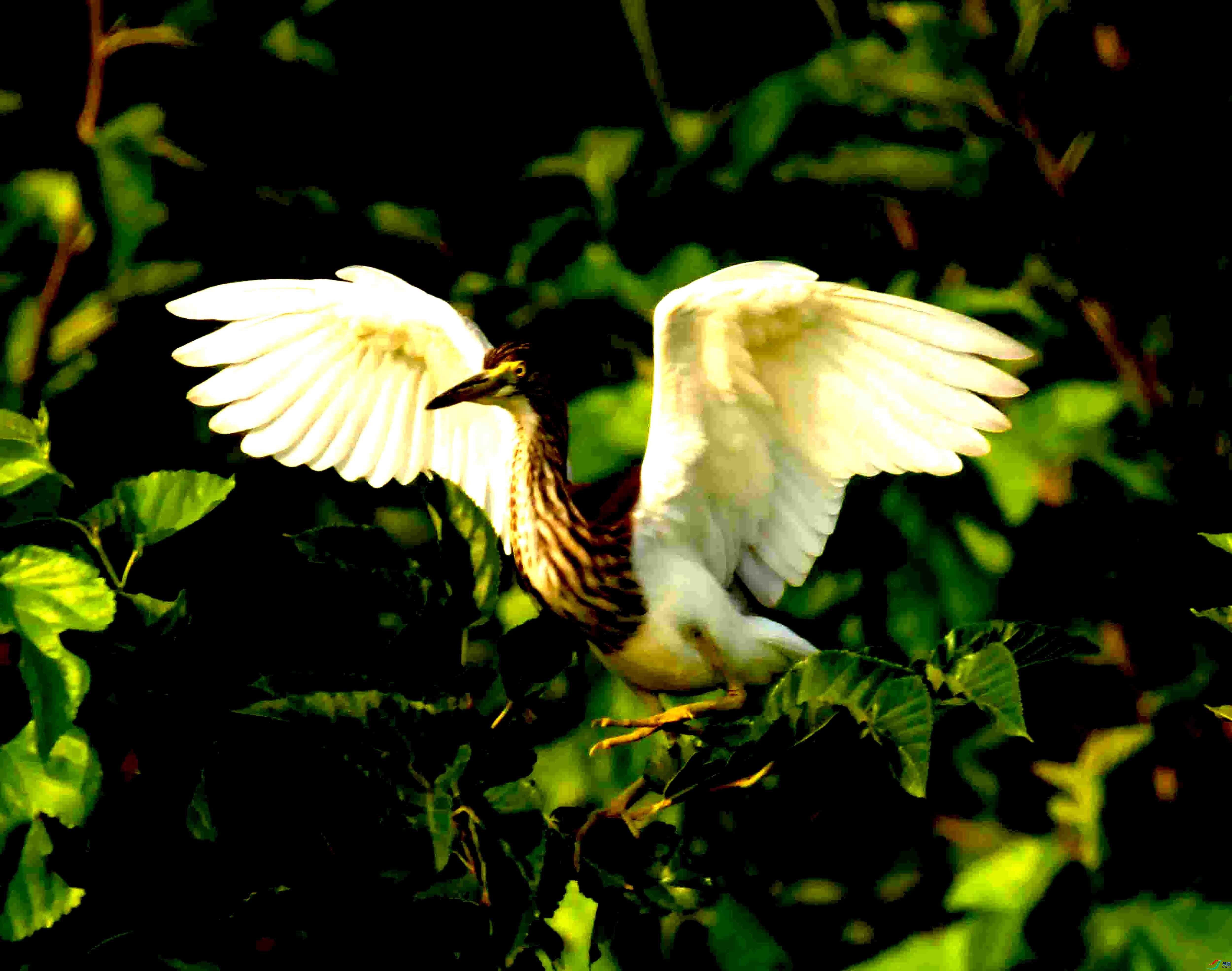 Copy2_DSC_3858.JPG