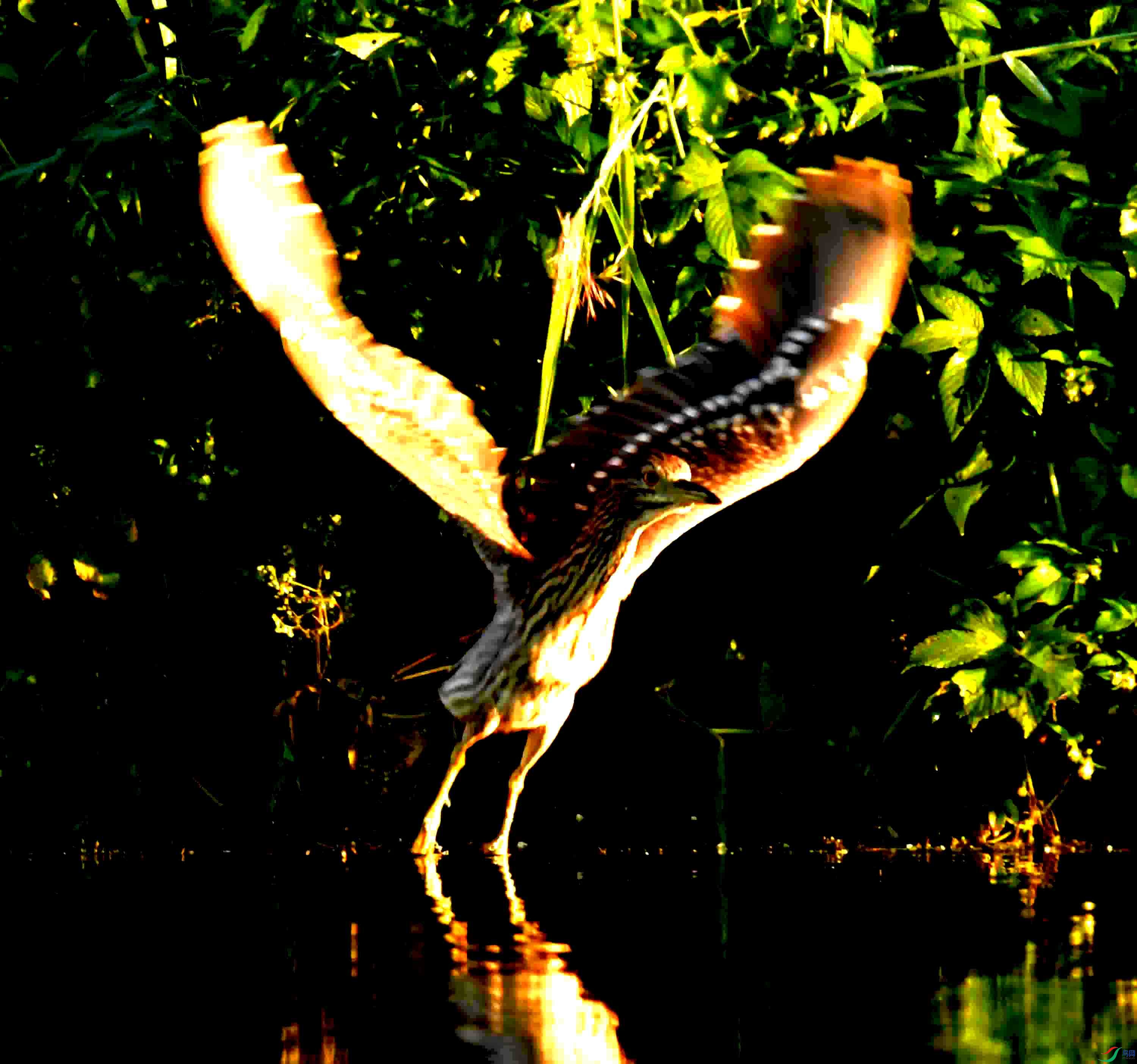 Copy2_DSC_0441.JPG