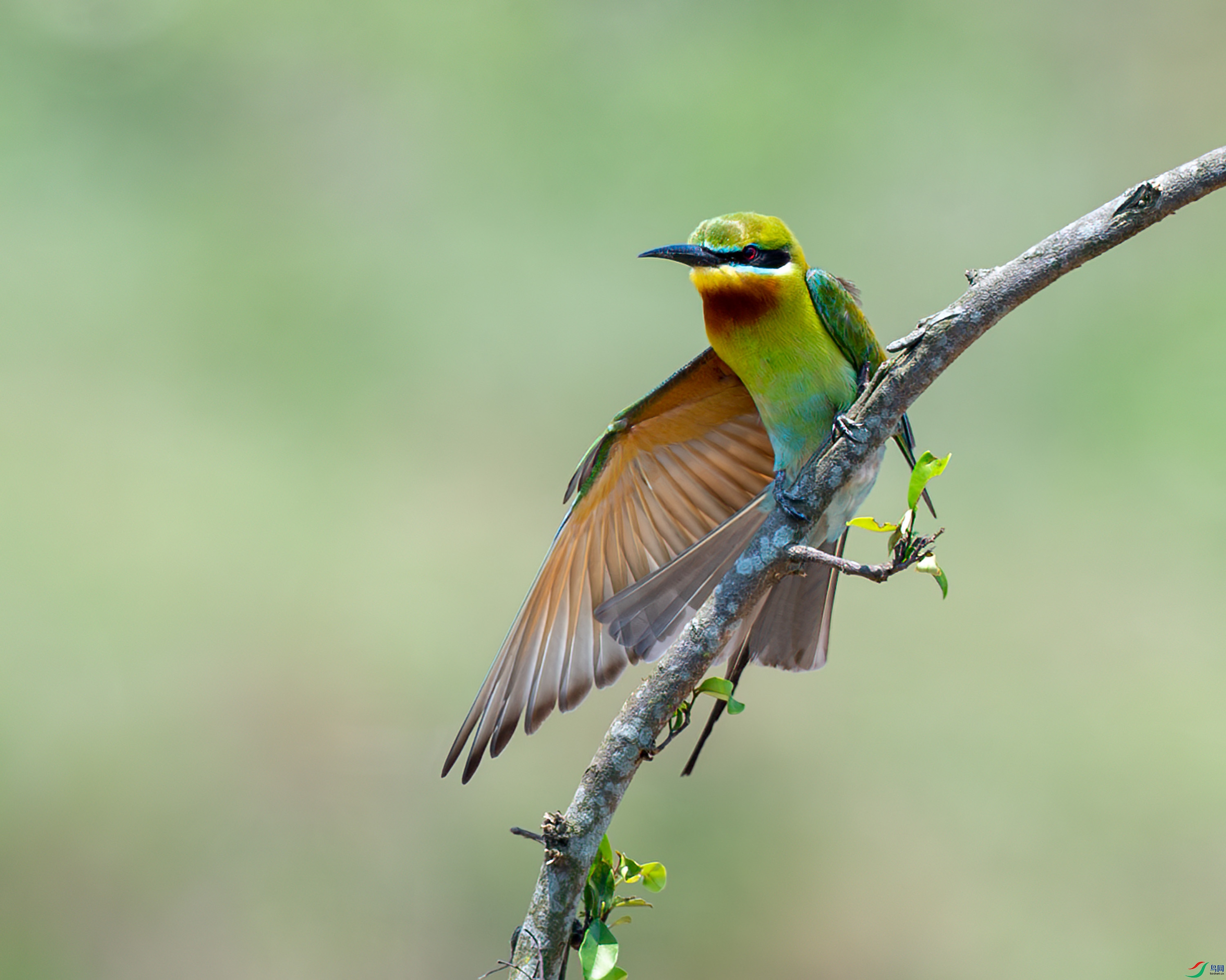 DSC_1472-����ǿ-NR-1.jpg