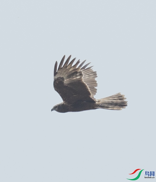 CS3U5894.jpg