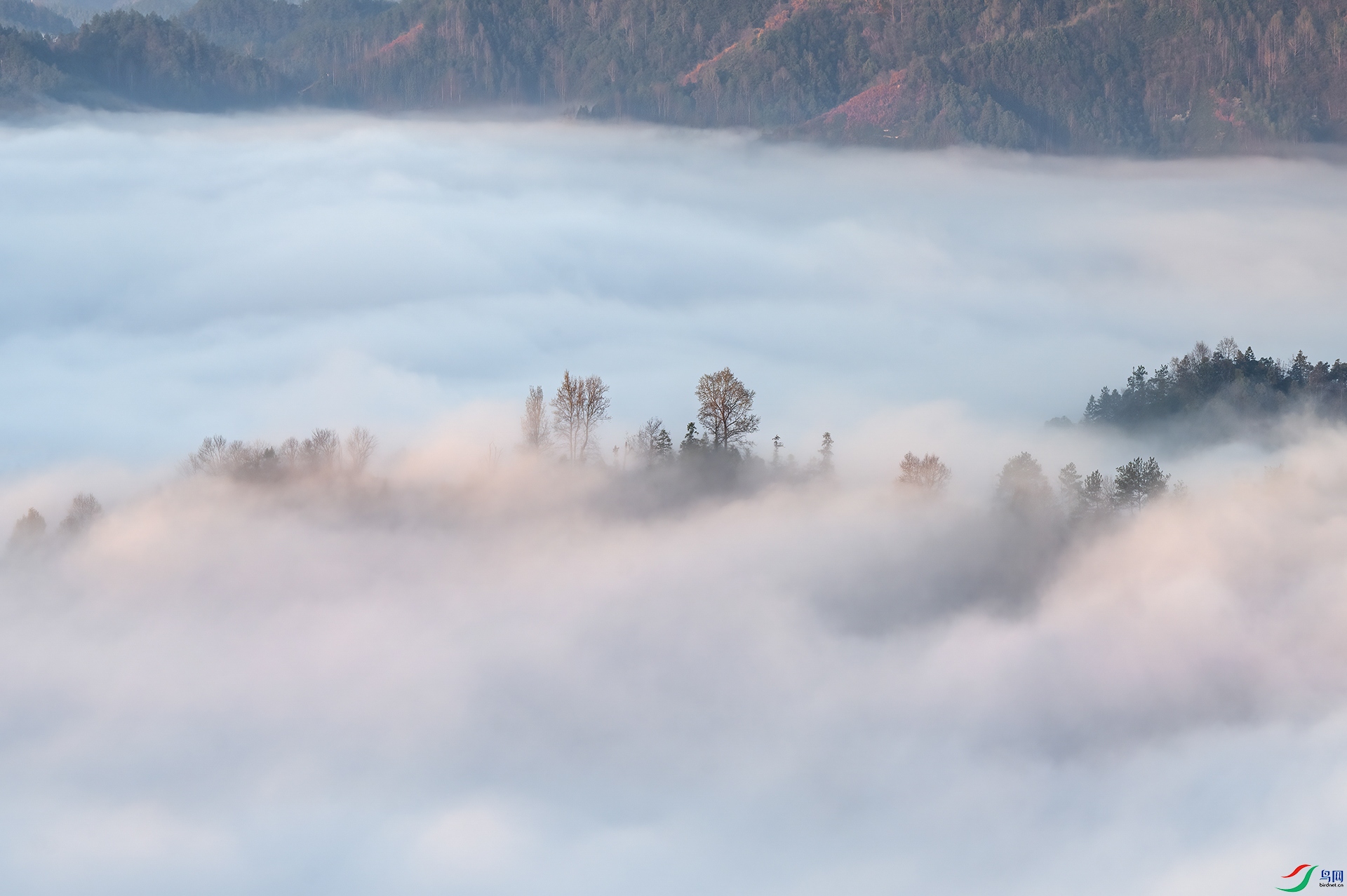 DSC_1463 - ��ϼӳ�ƺ�.jpg