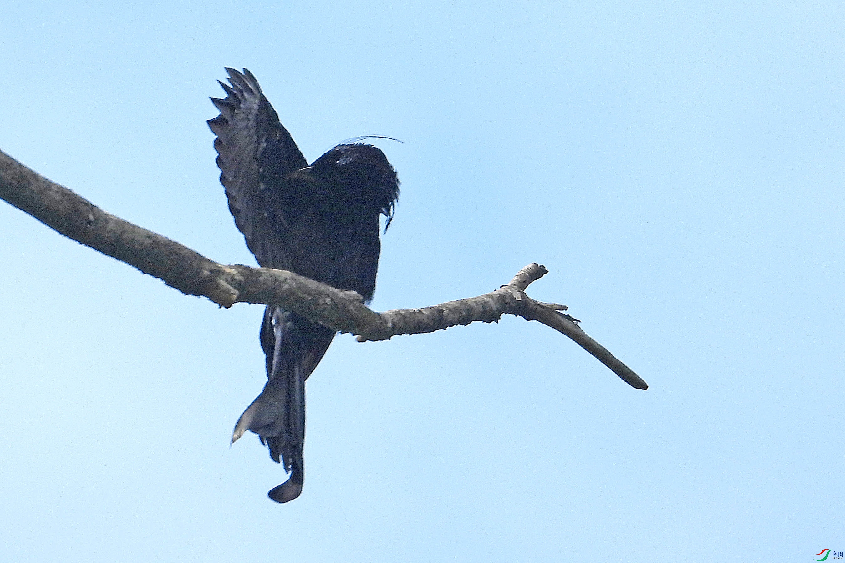 DSCN5788.JPG