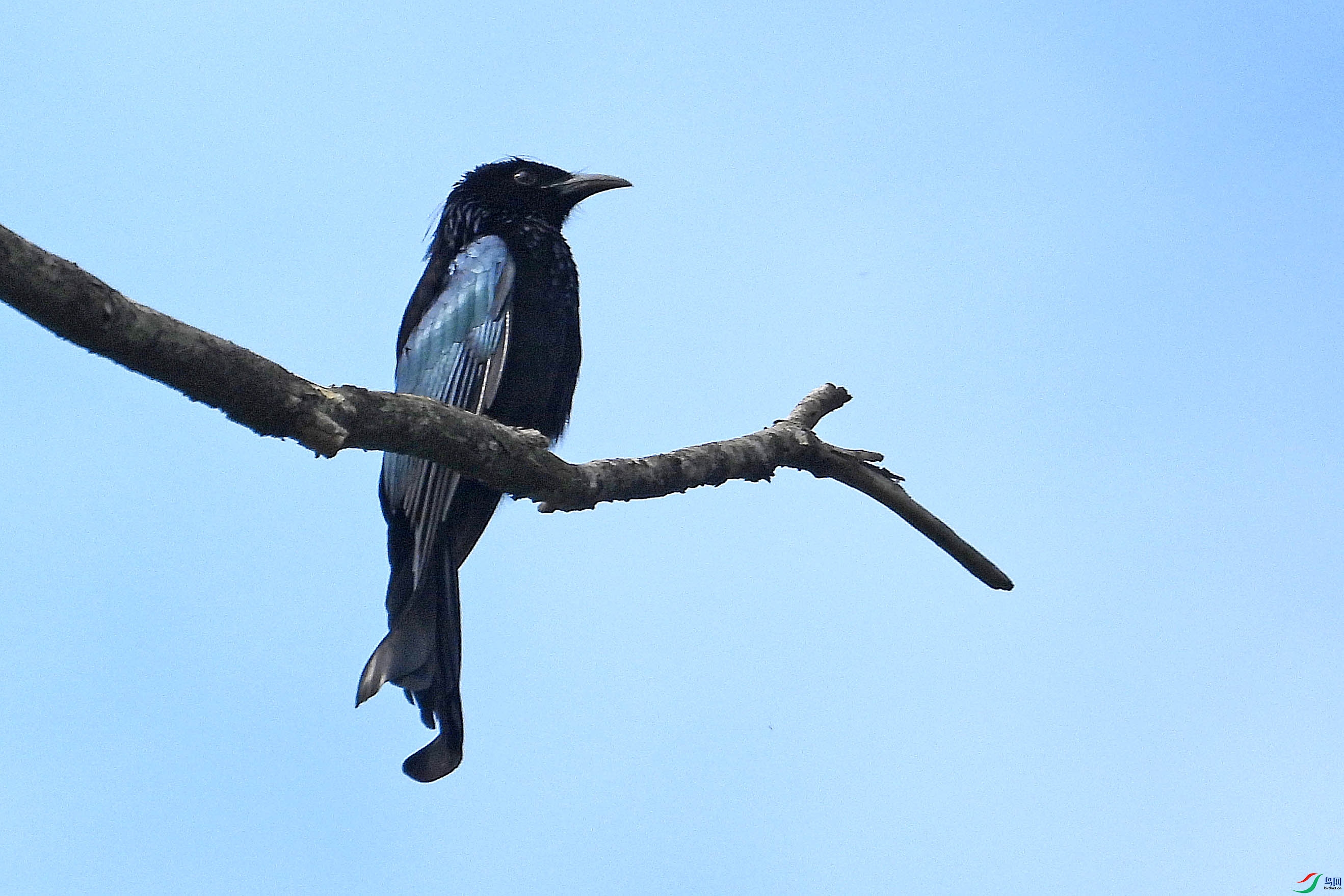 DSCN5784.JPG