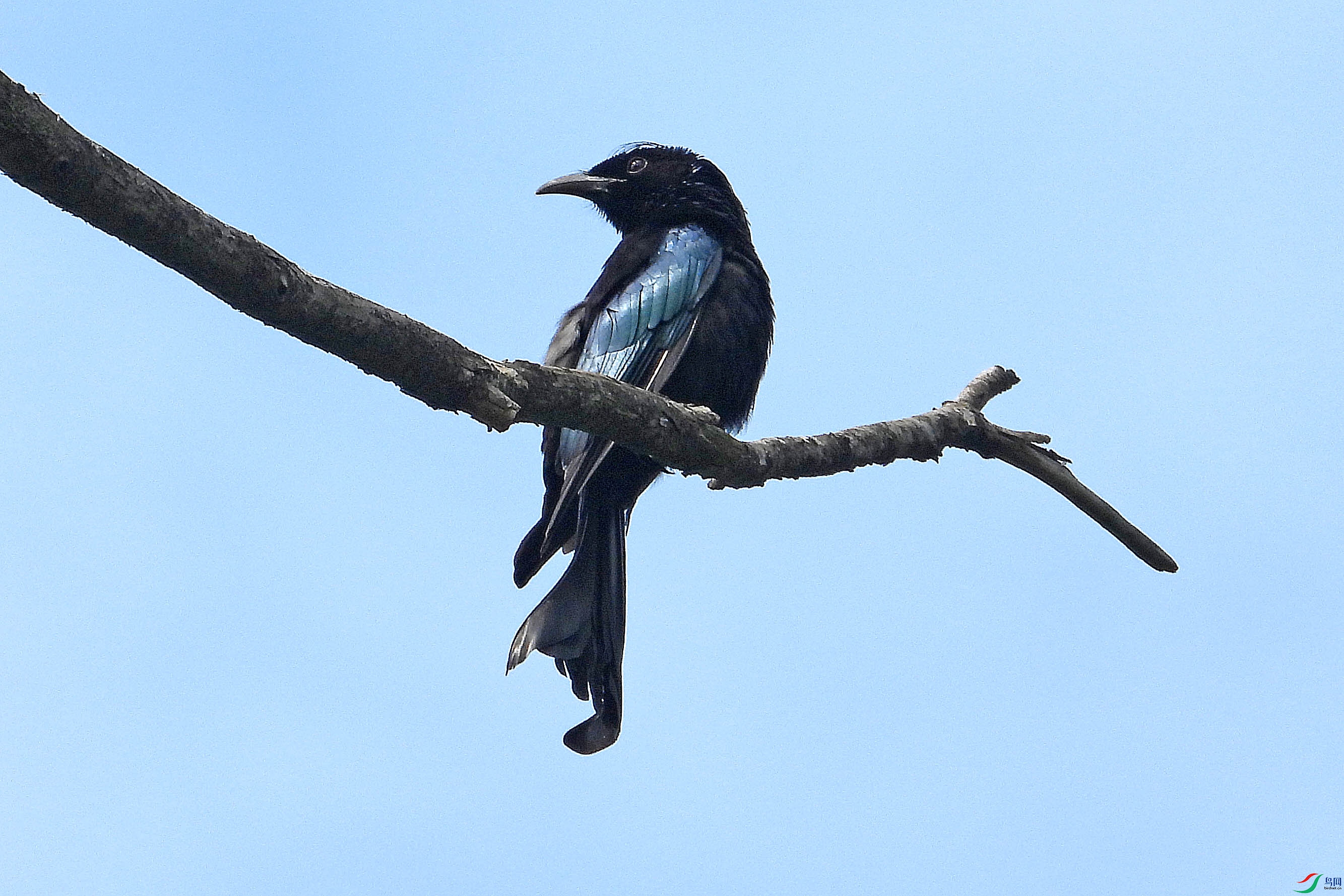 DSCN5790.JPG