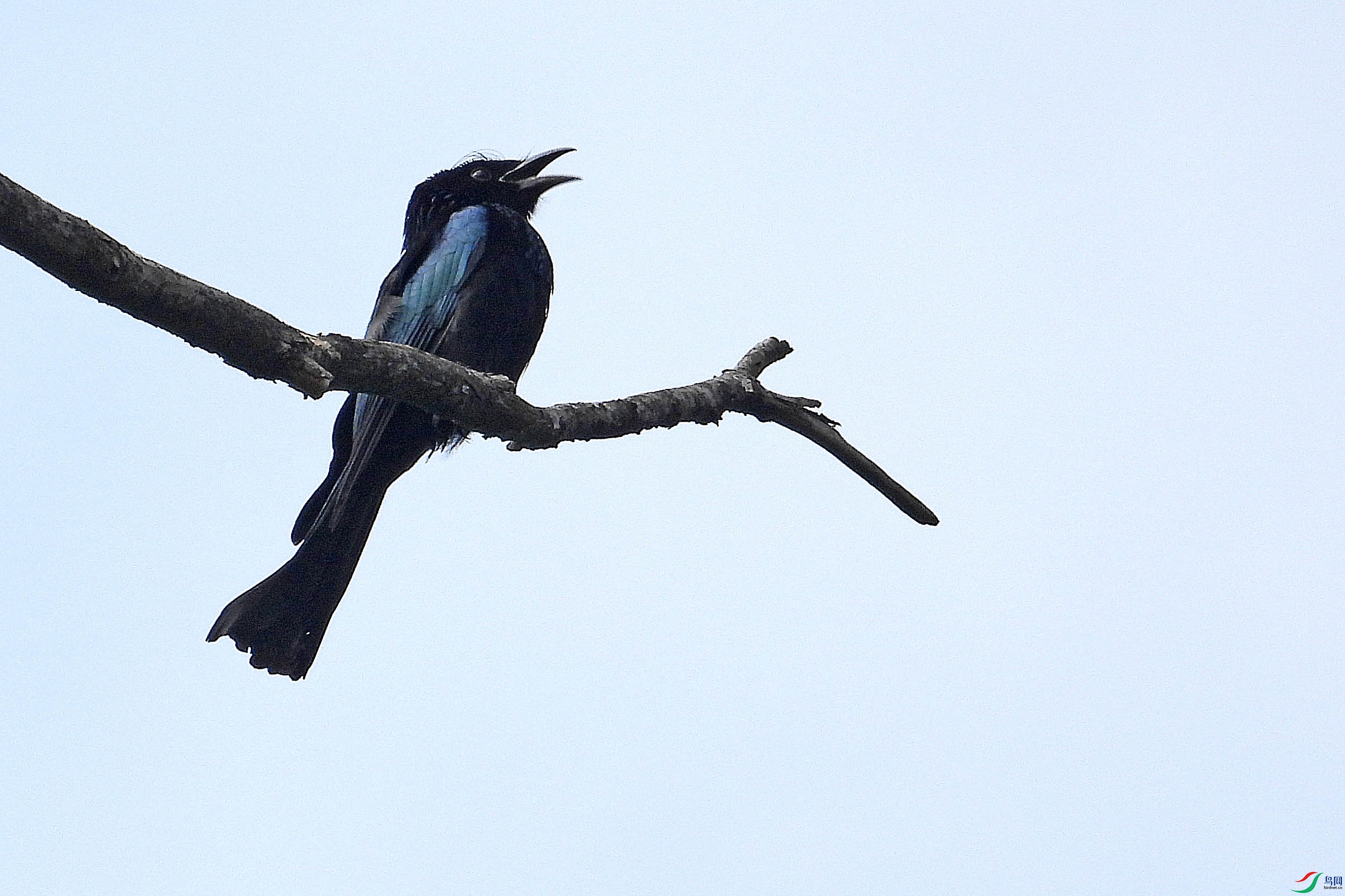 DSCN5807.JPG