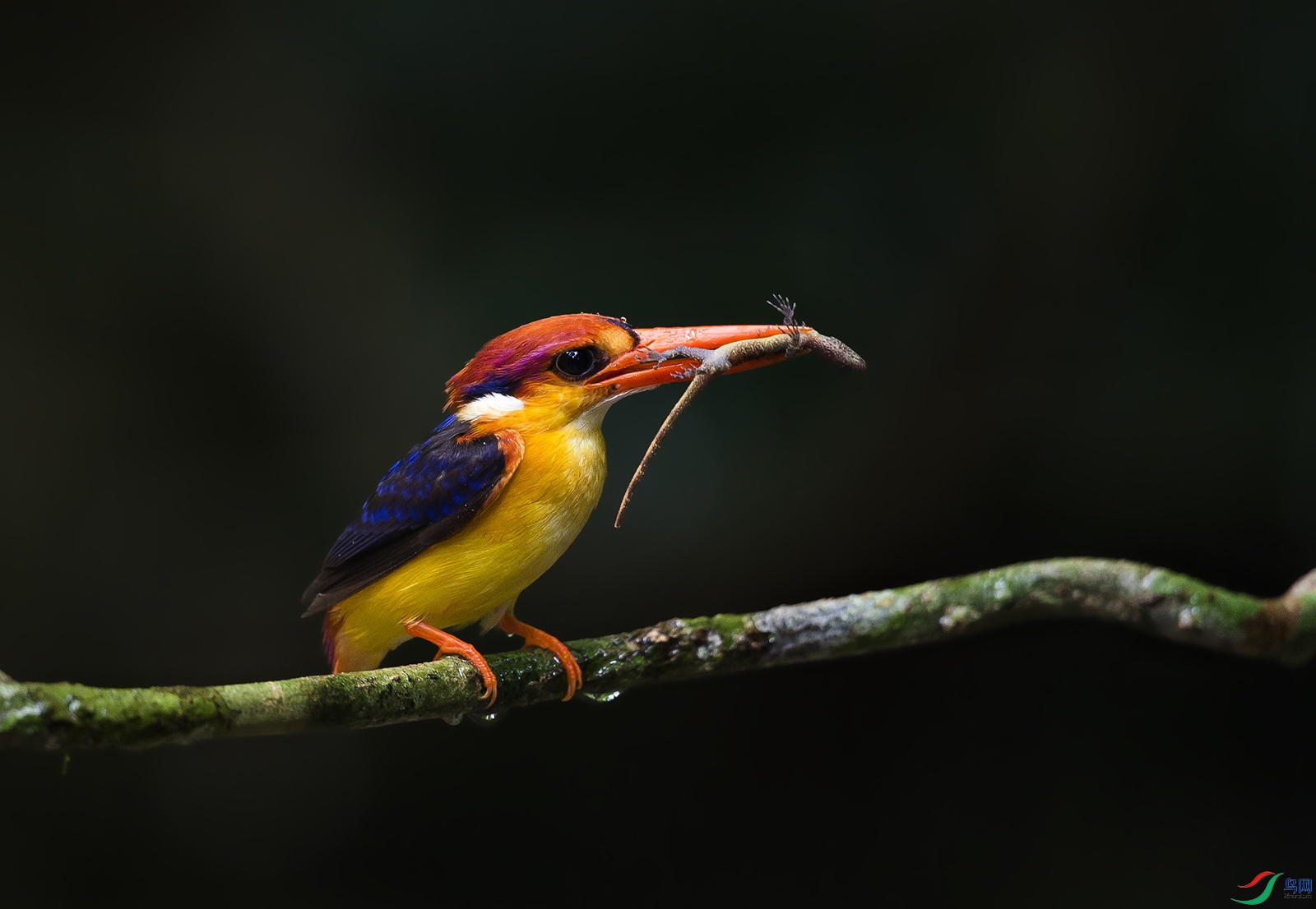 ��3006_2944.jpg