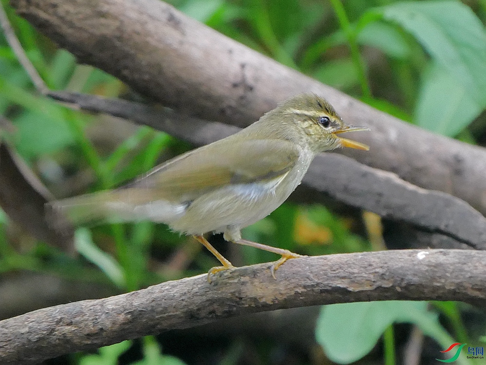 P9690767 - ����.JPG