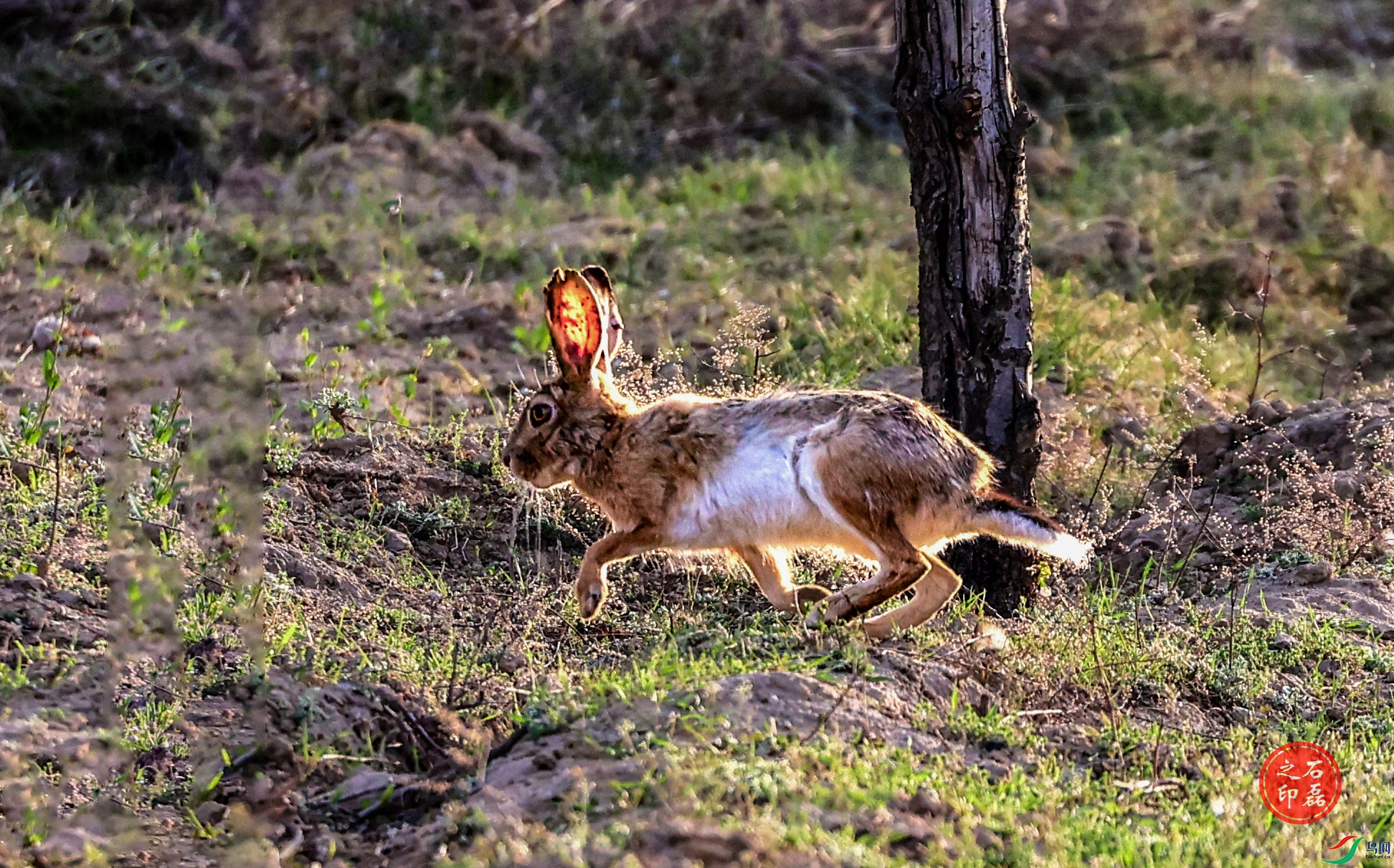 ����֮��