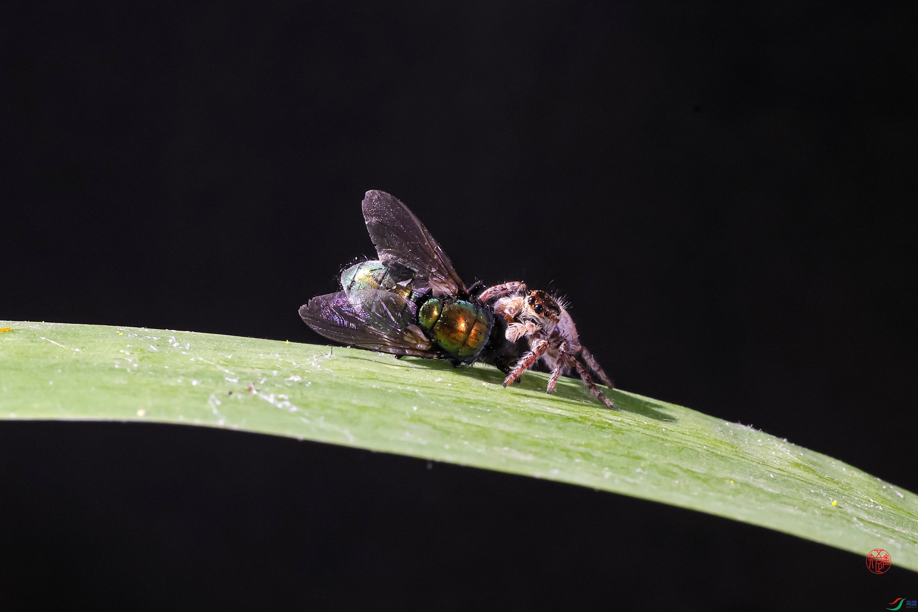 _23_6574x ����.jpg