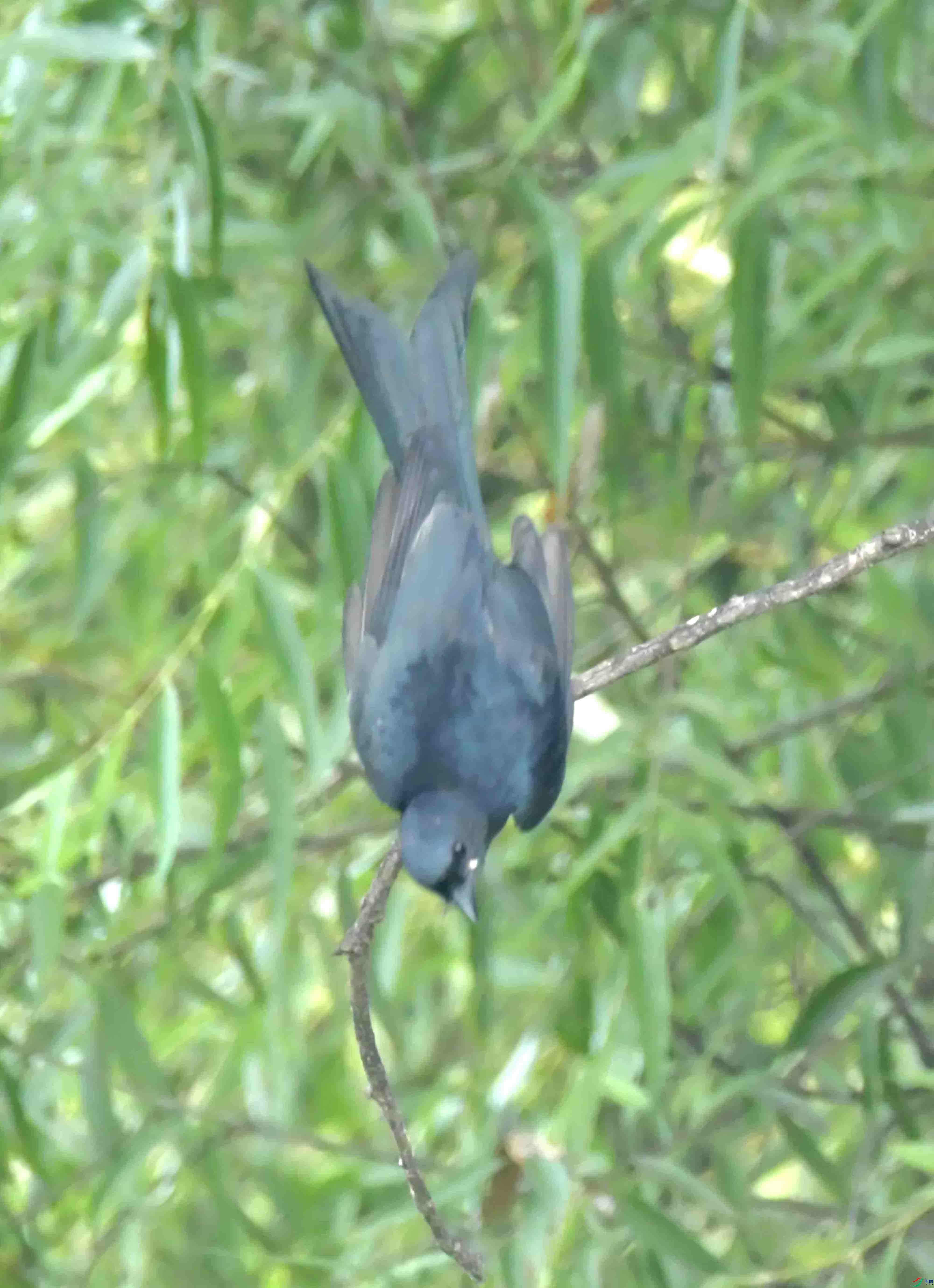 DSC_2341.JPG