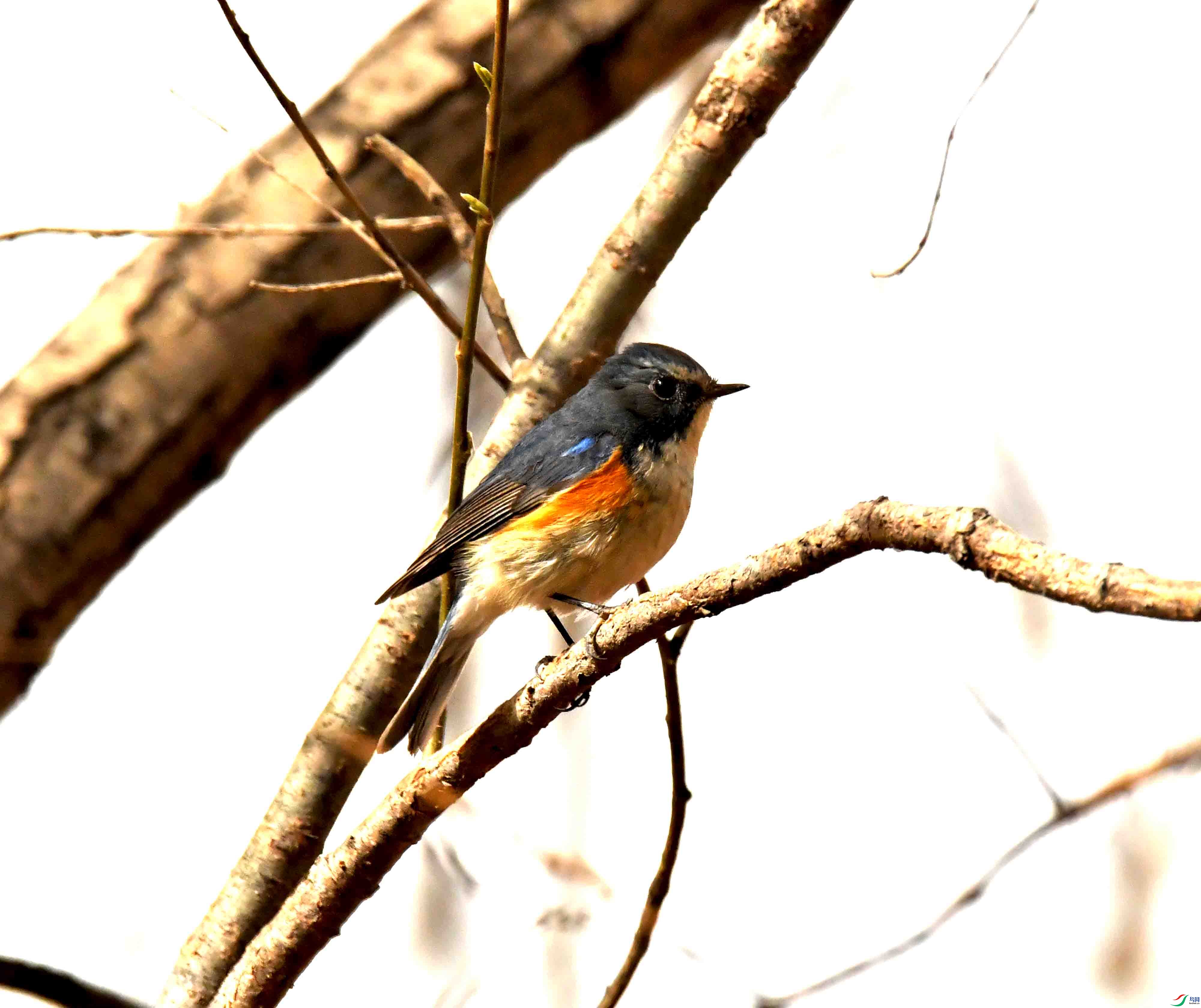 DSC_1206.JPG