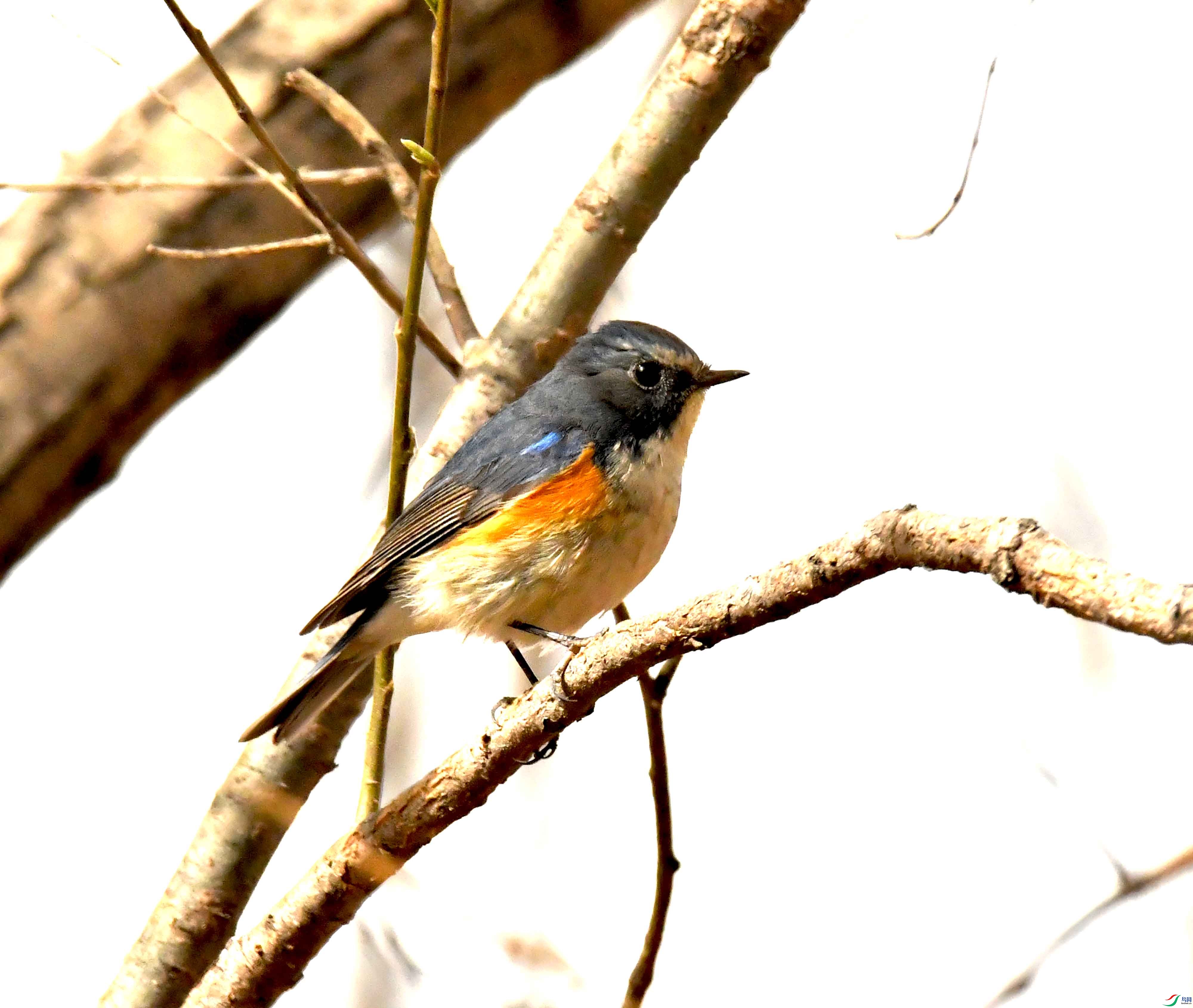 DSC_1208.JPG