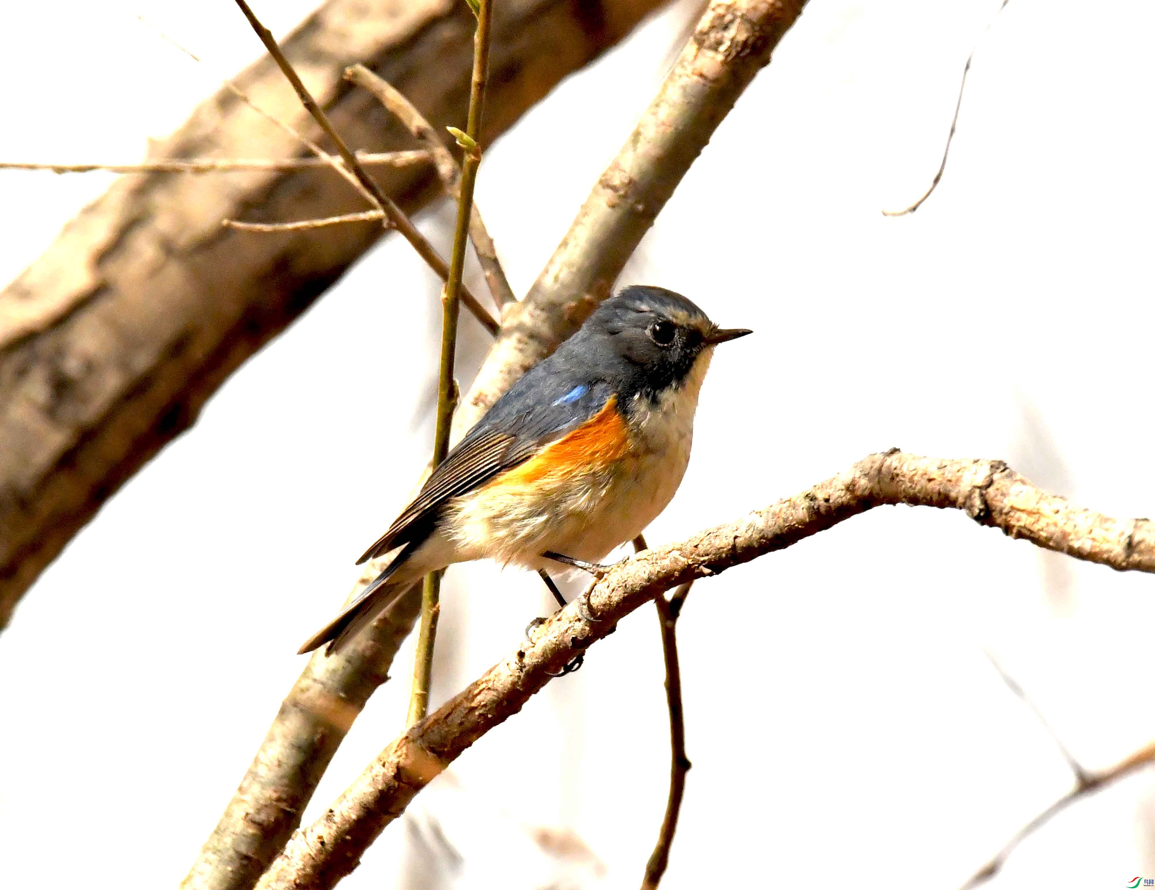 DSC_1207.JPG