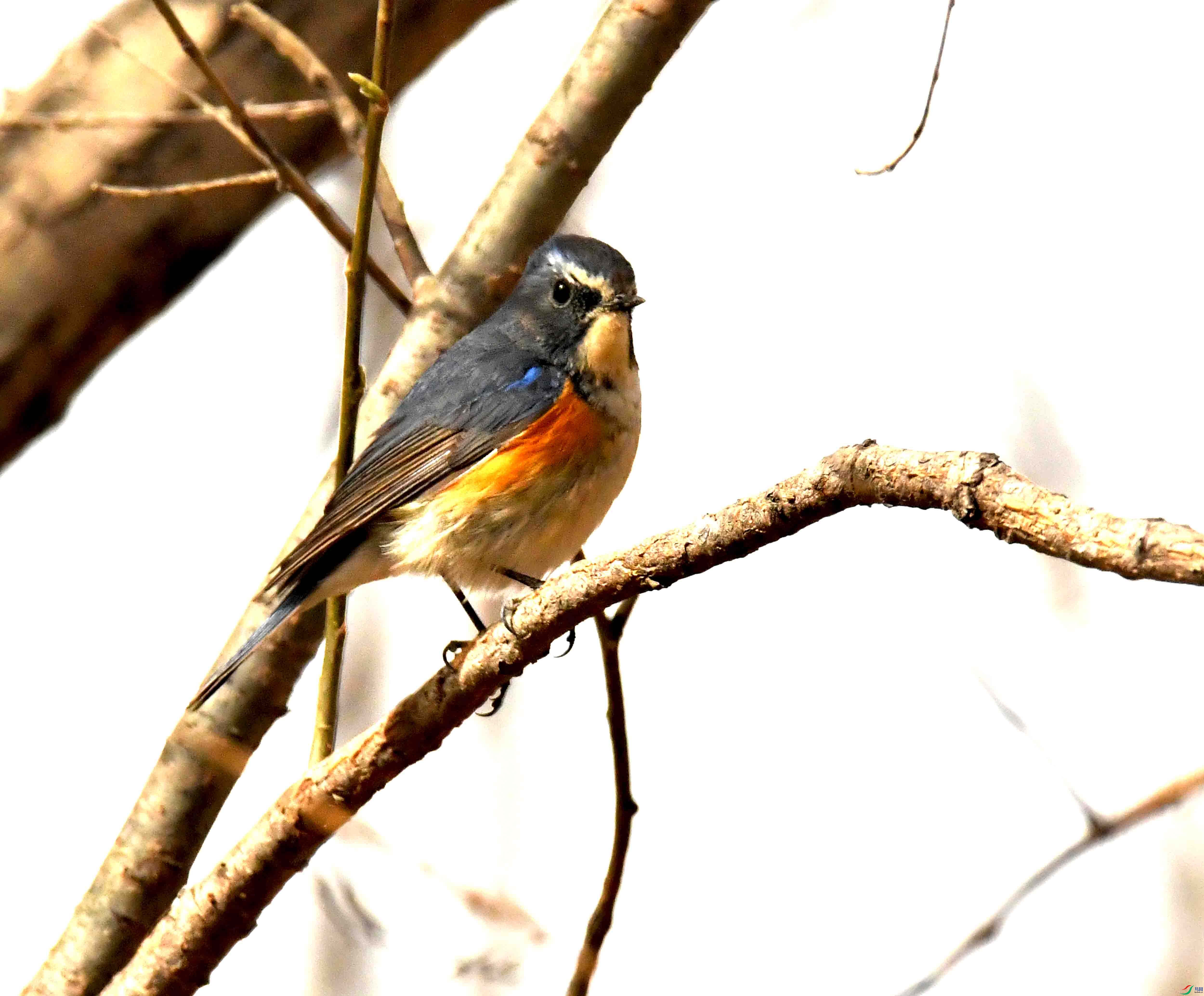 DSC_1225.JPG