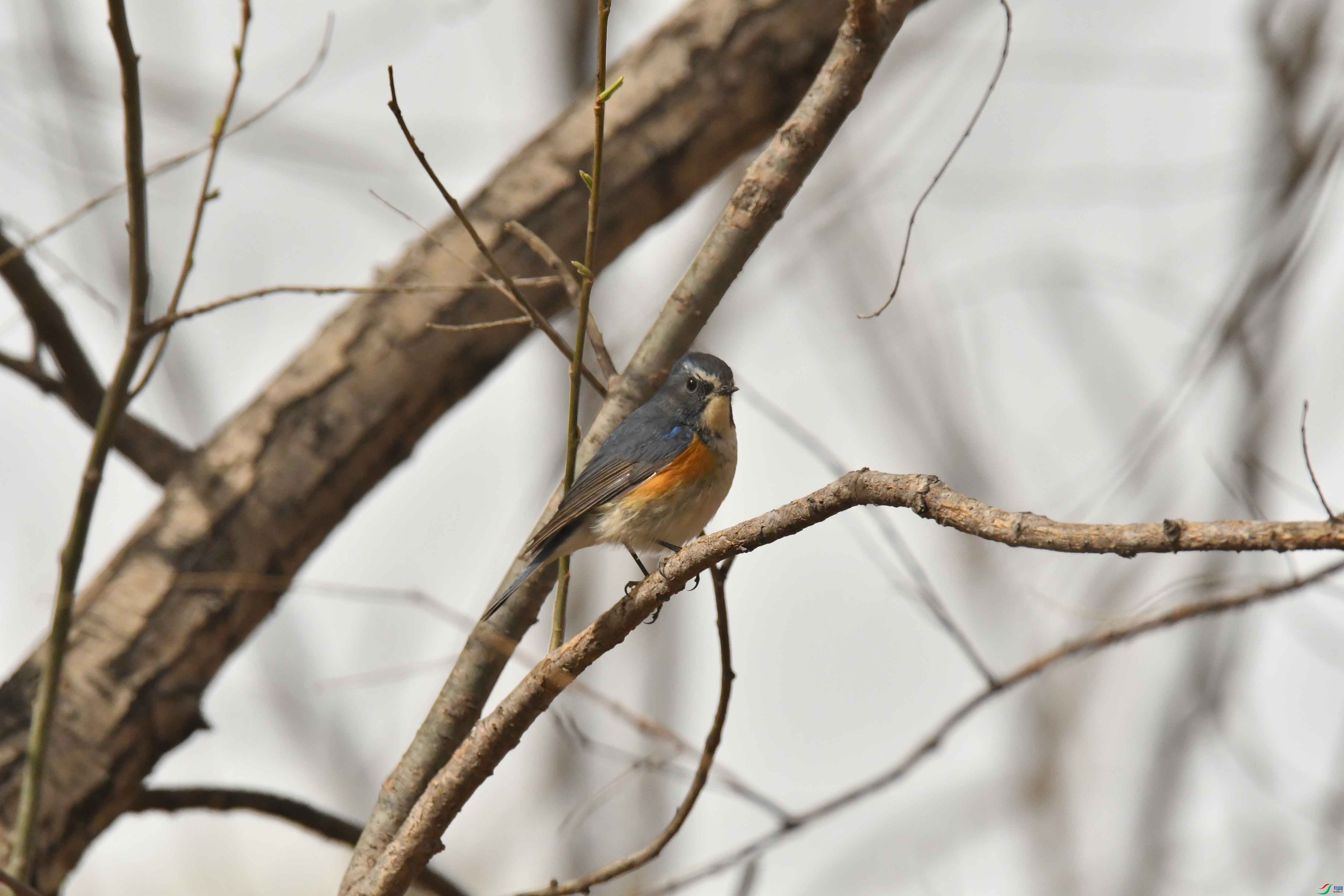 DSC_1224.JPG
