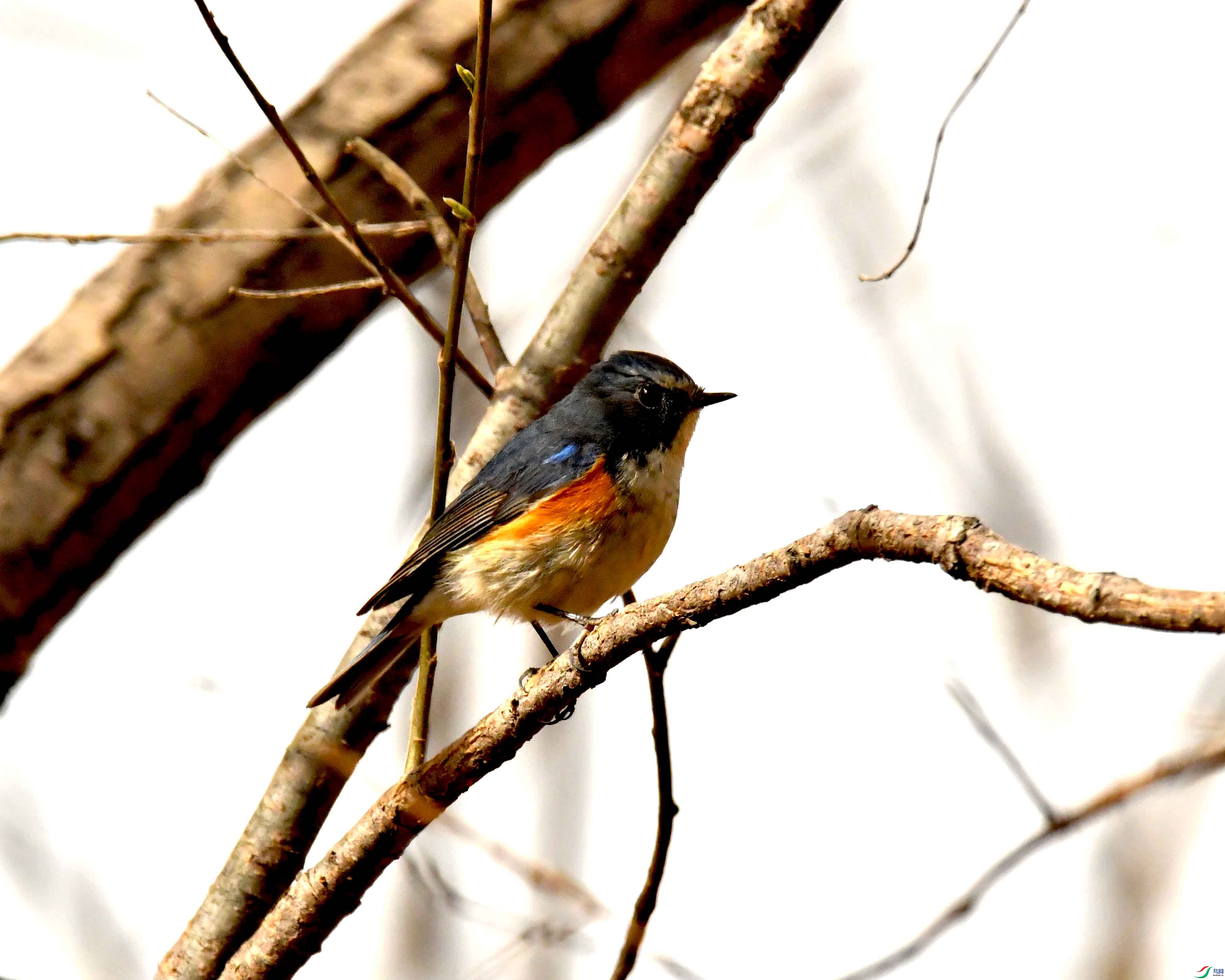 DSC_1209.JPG