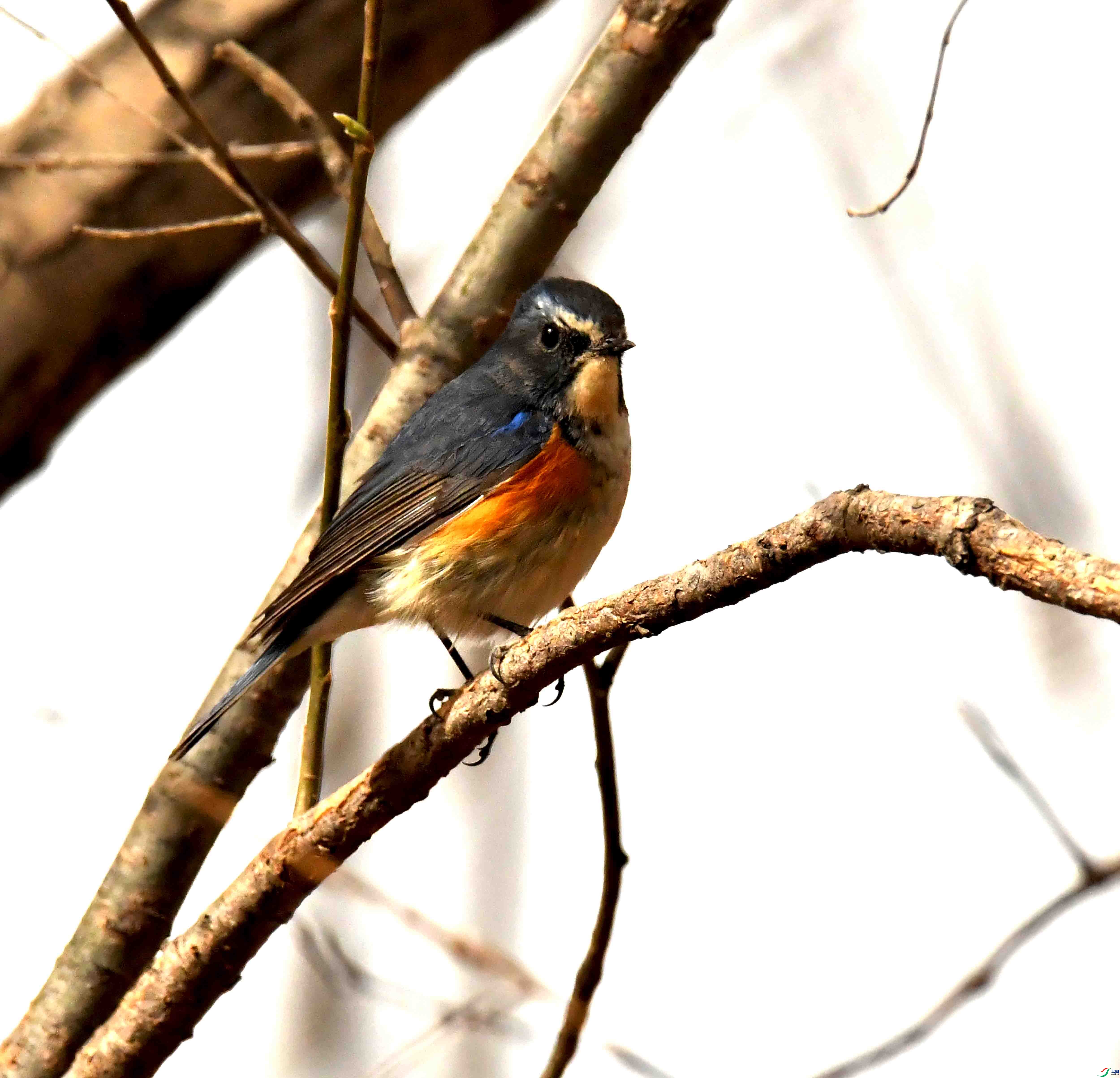 DSC_1226.JPG