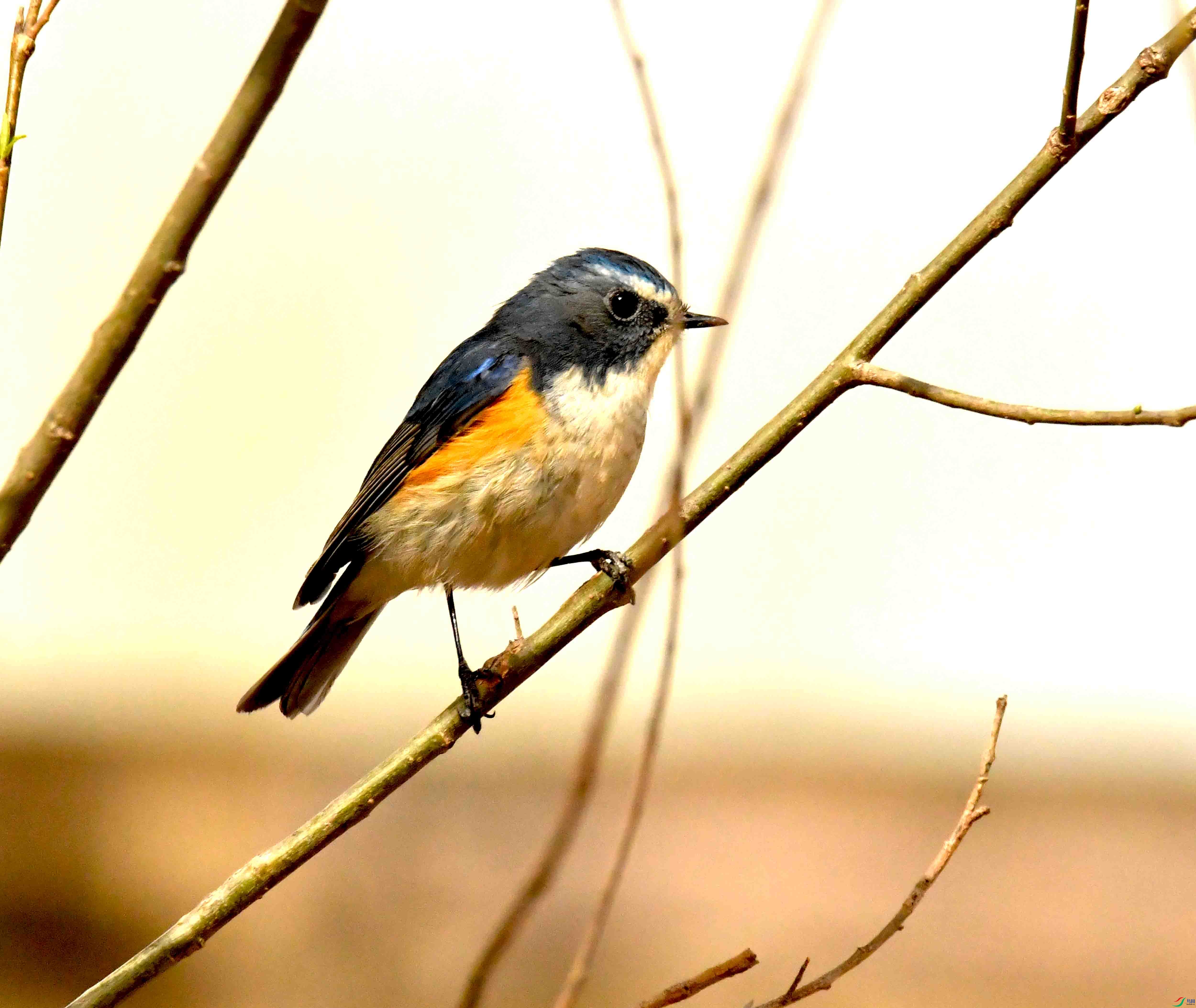 DSC_1230.JPG