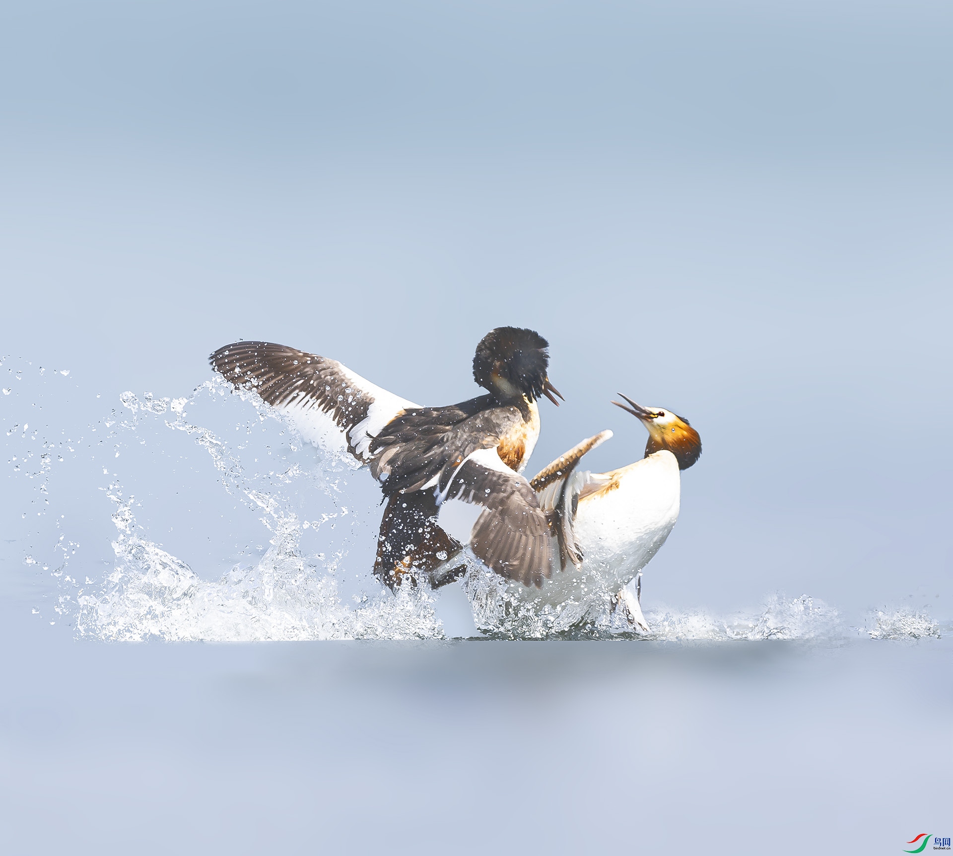 019A3343 ����.jpg