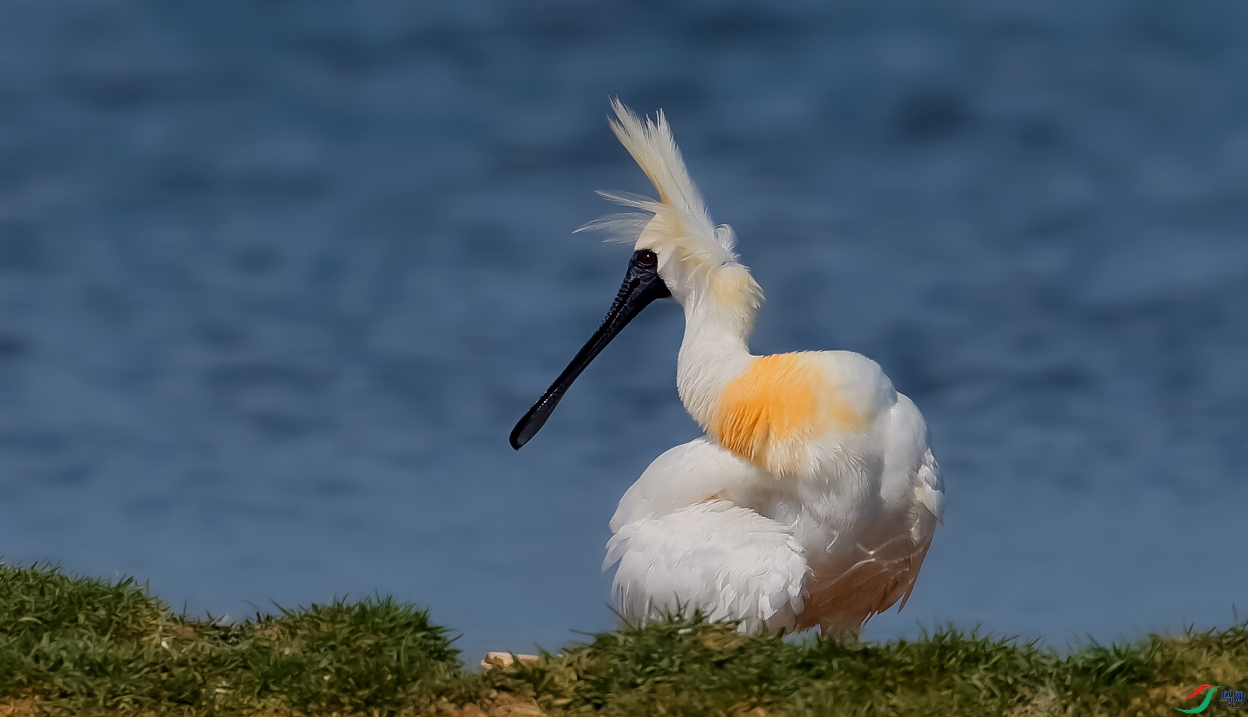 DSC_0518==1w.jpg