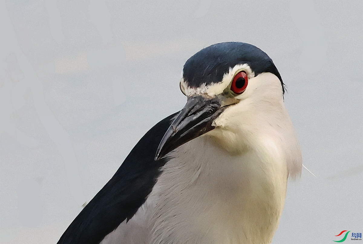 1P3A0693.JPG