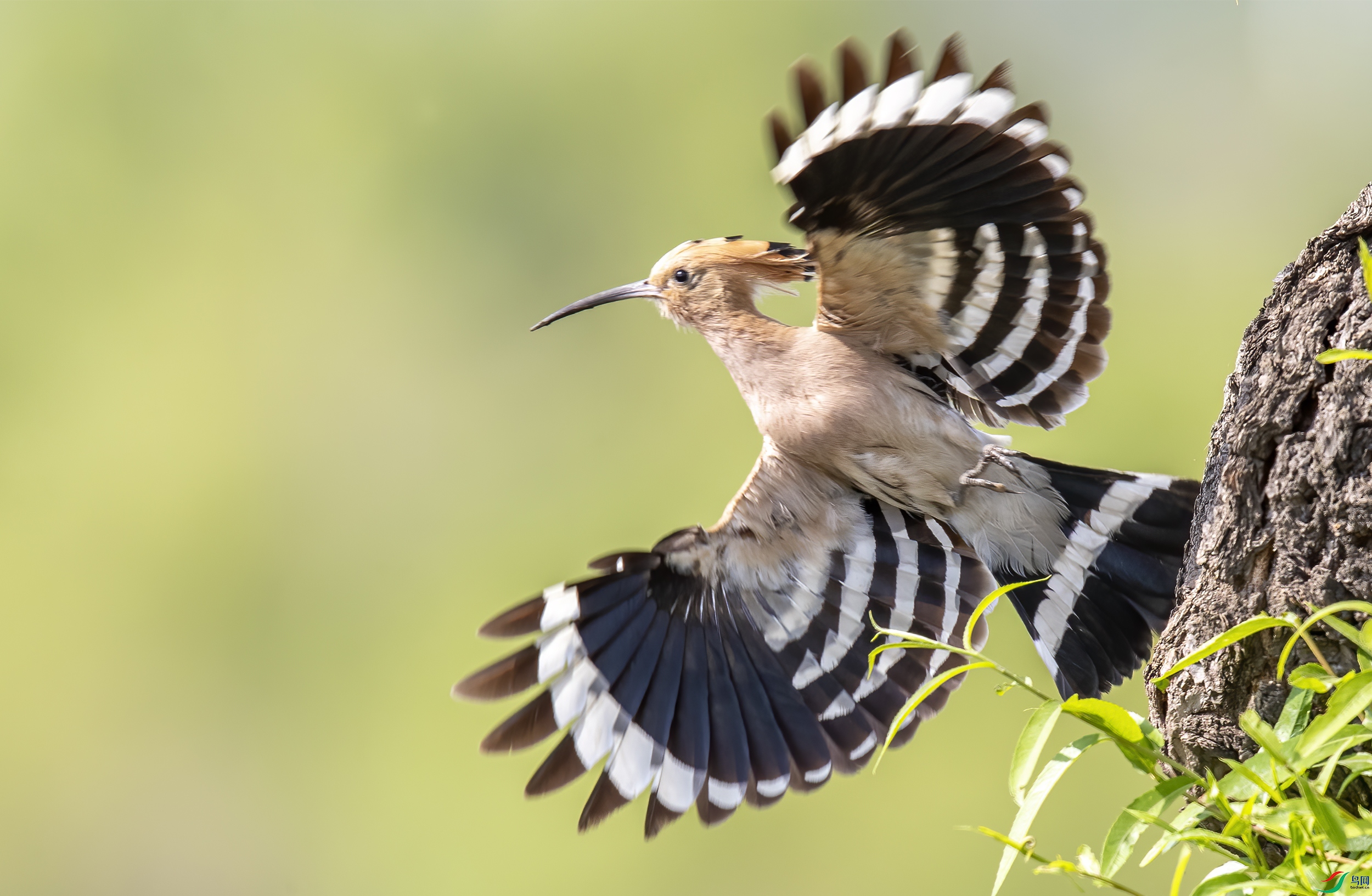 AC3I7861 ����.jpg