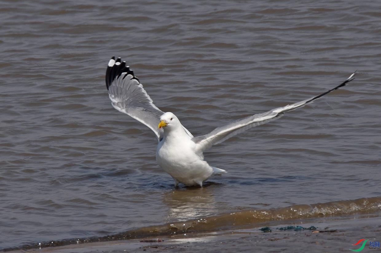 DSC_3792.jpg