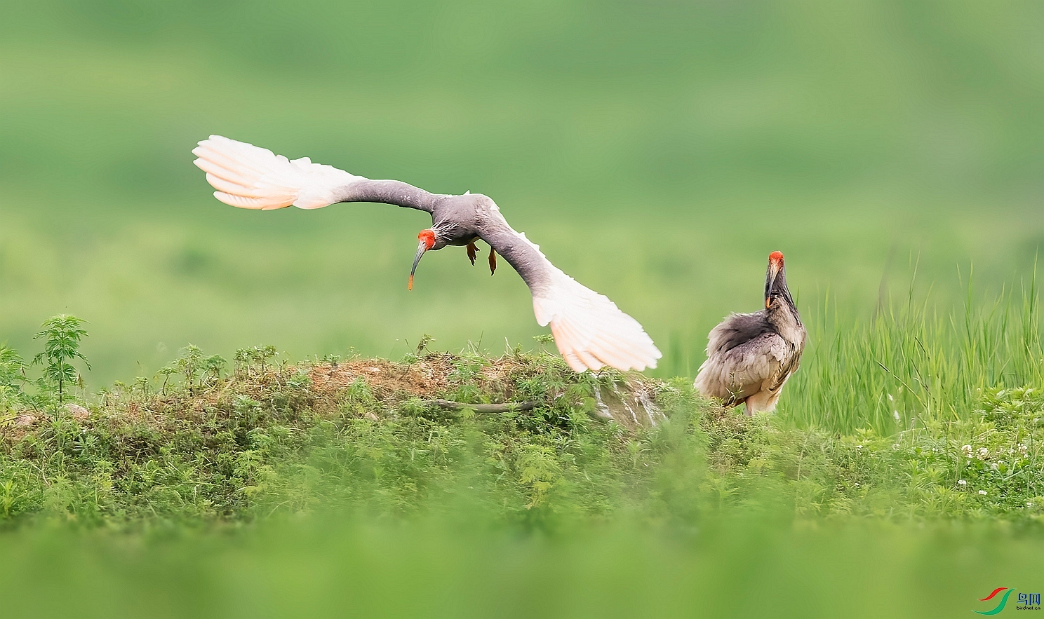 DSC_9474 ����_����.jpg