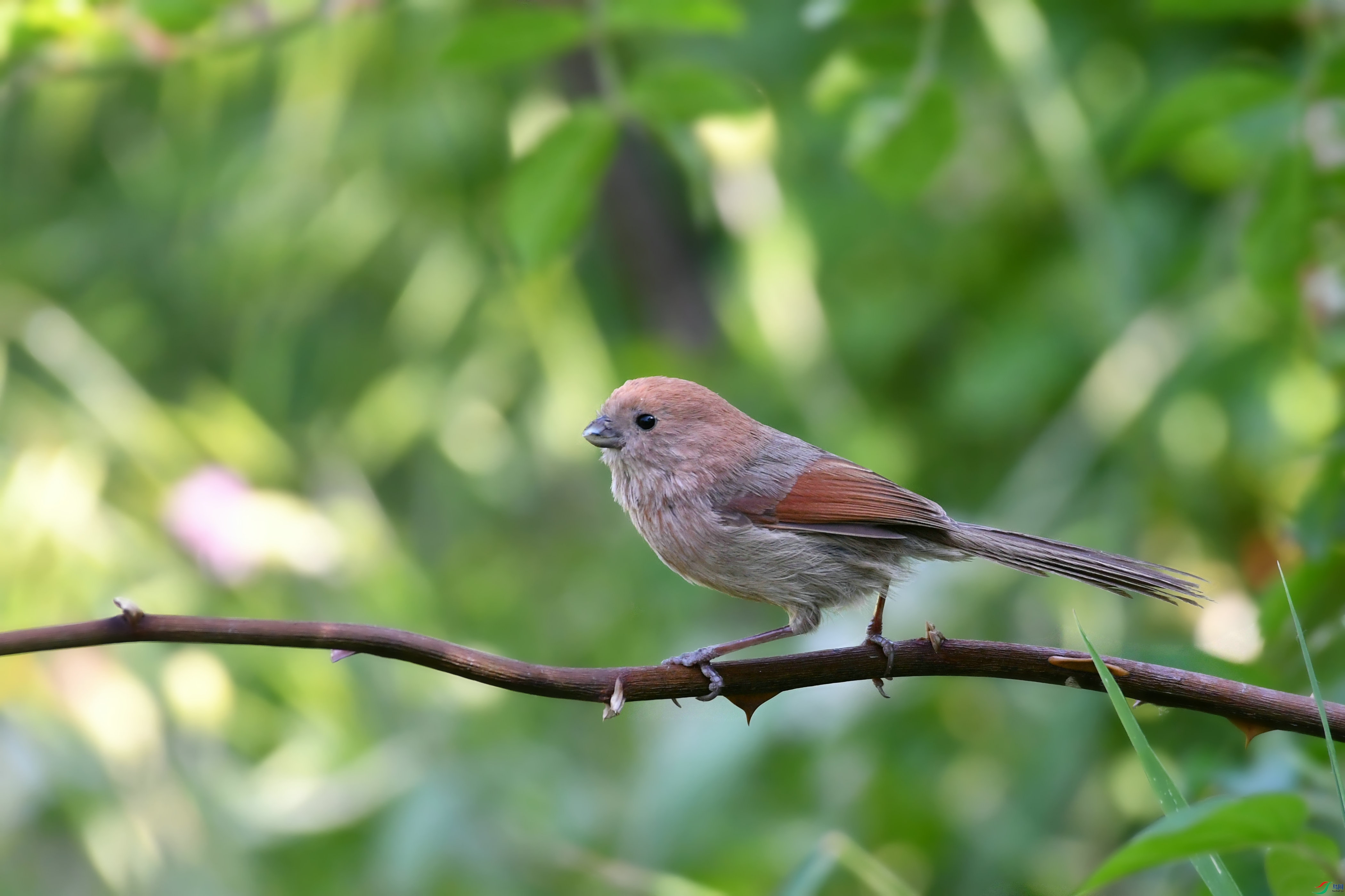 DSC_7581.JPG